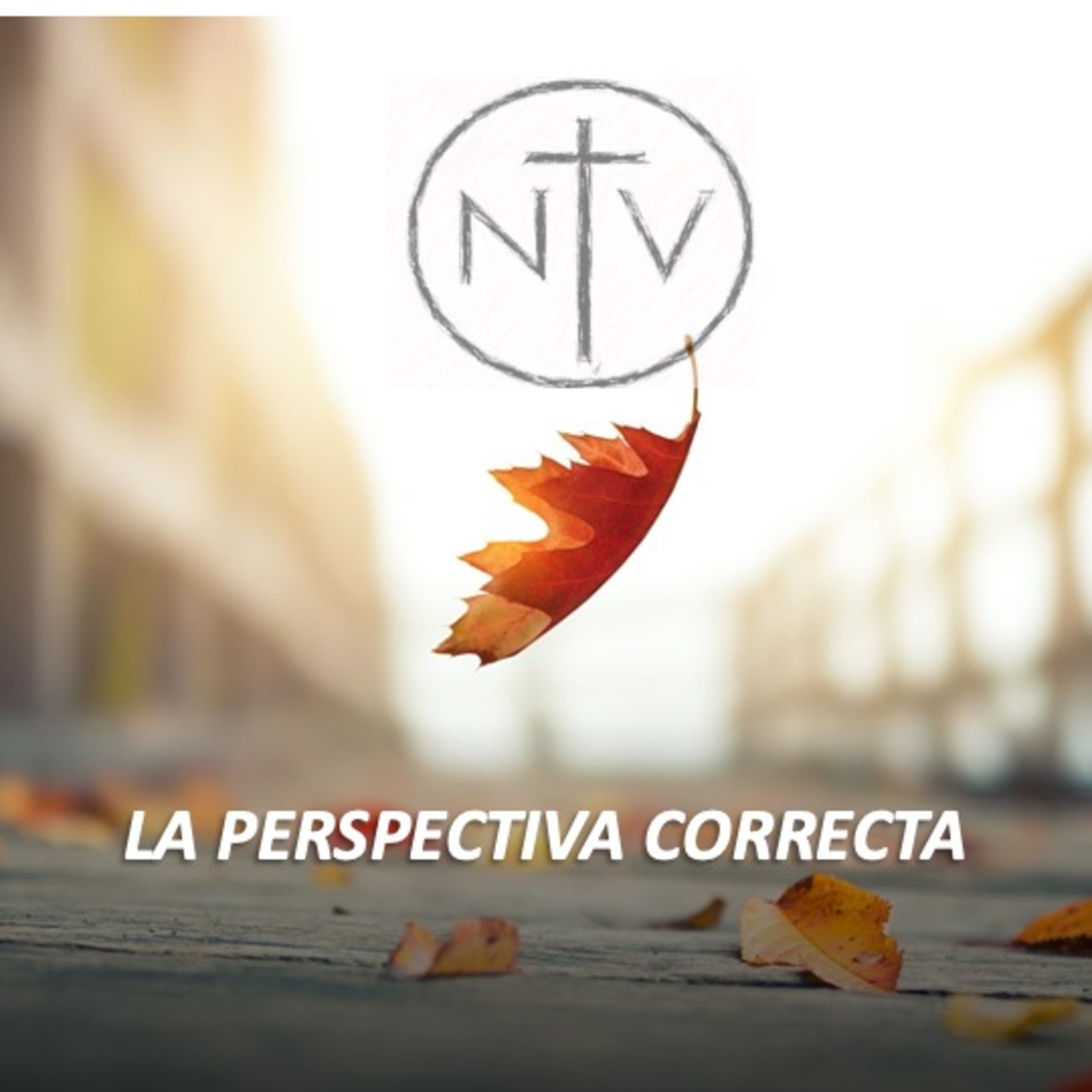 La perspectiva correcta episode artwork