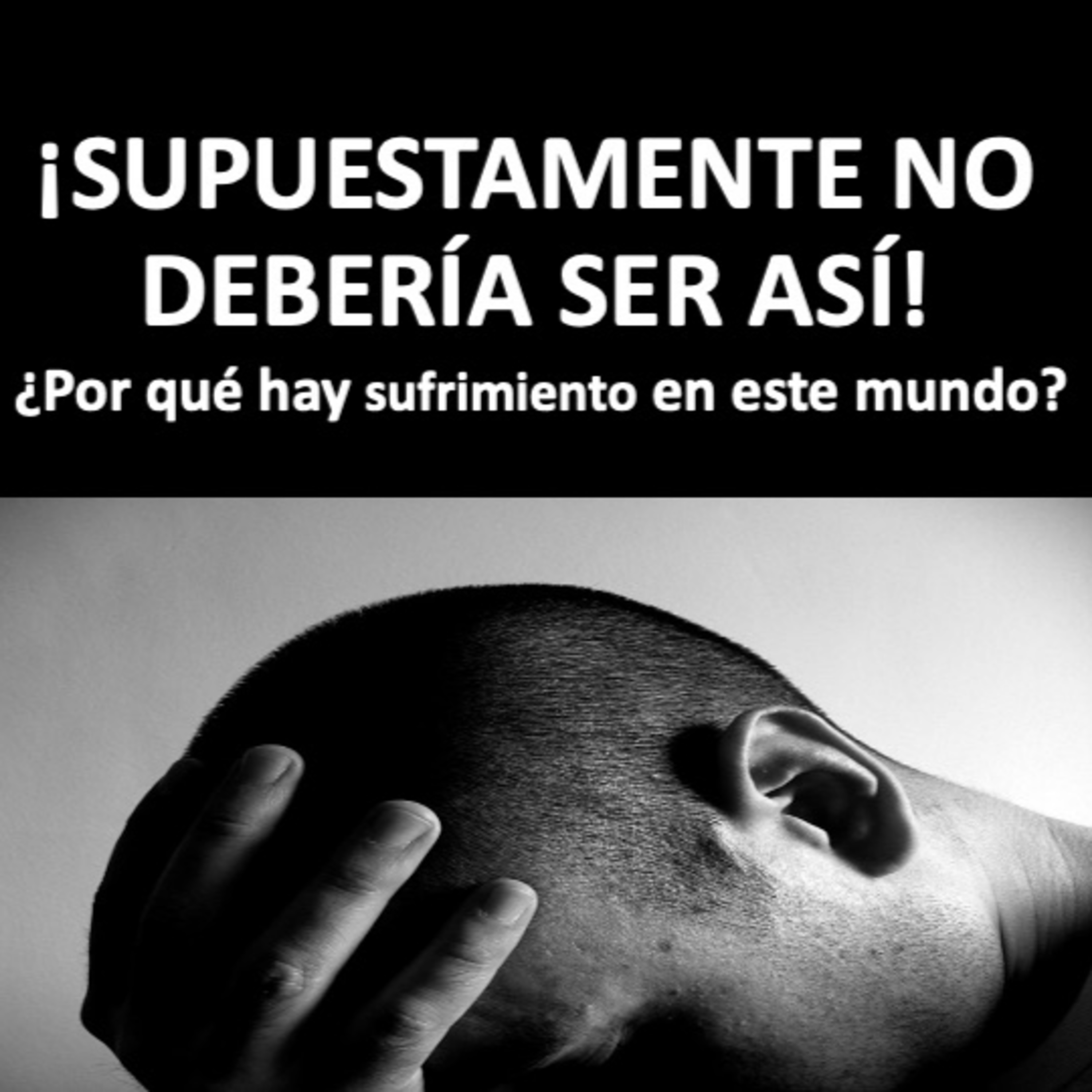 SUPUESTAMENTE NO DEBERIA SER ASI! episode artwork