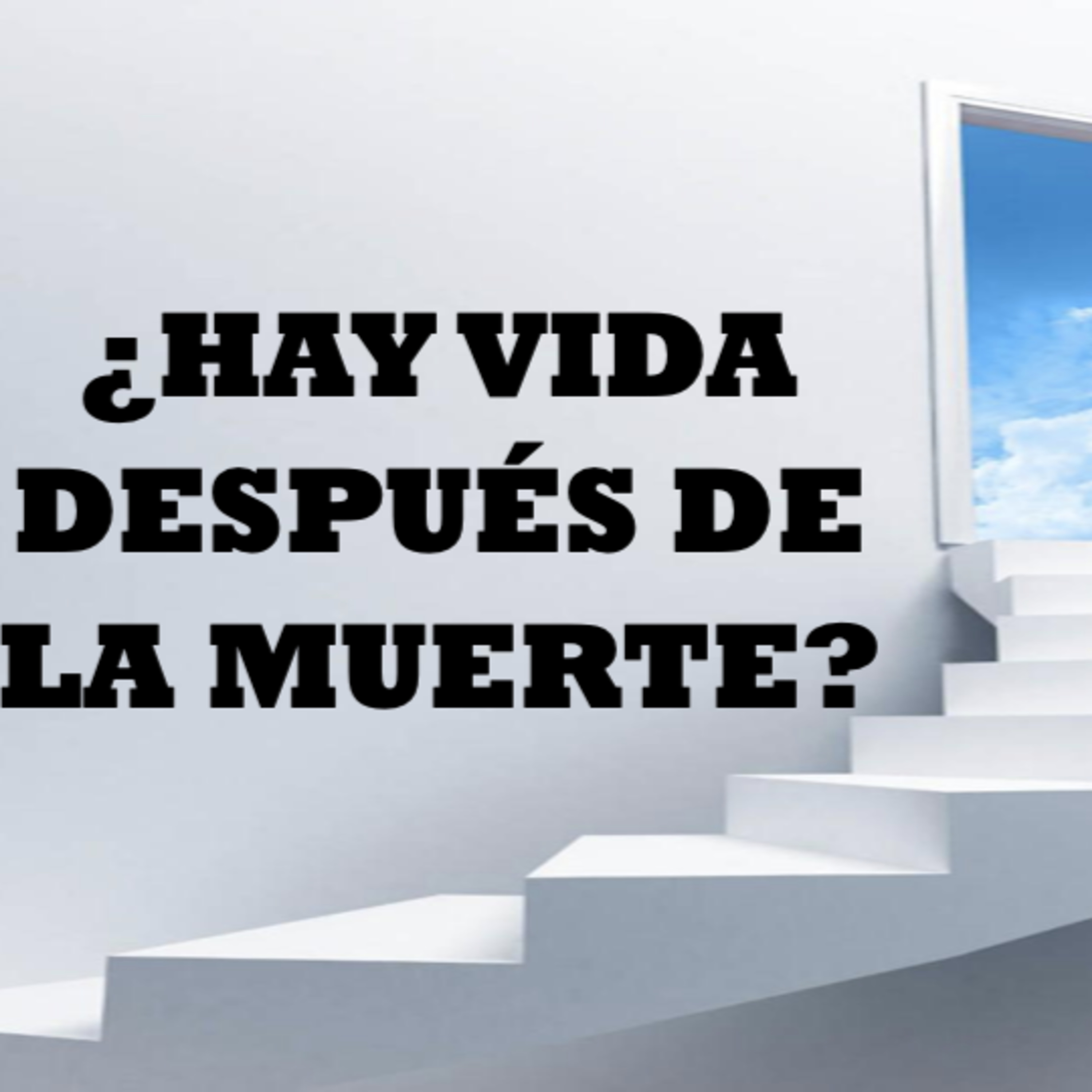 ¿Hay vida despues de la Muerte? episode artwork