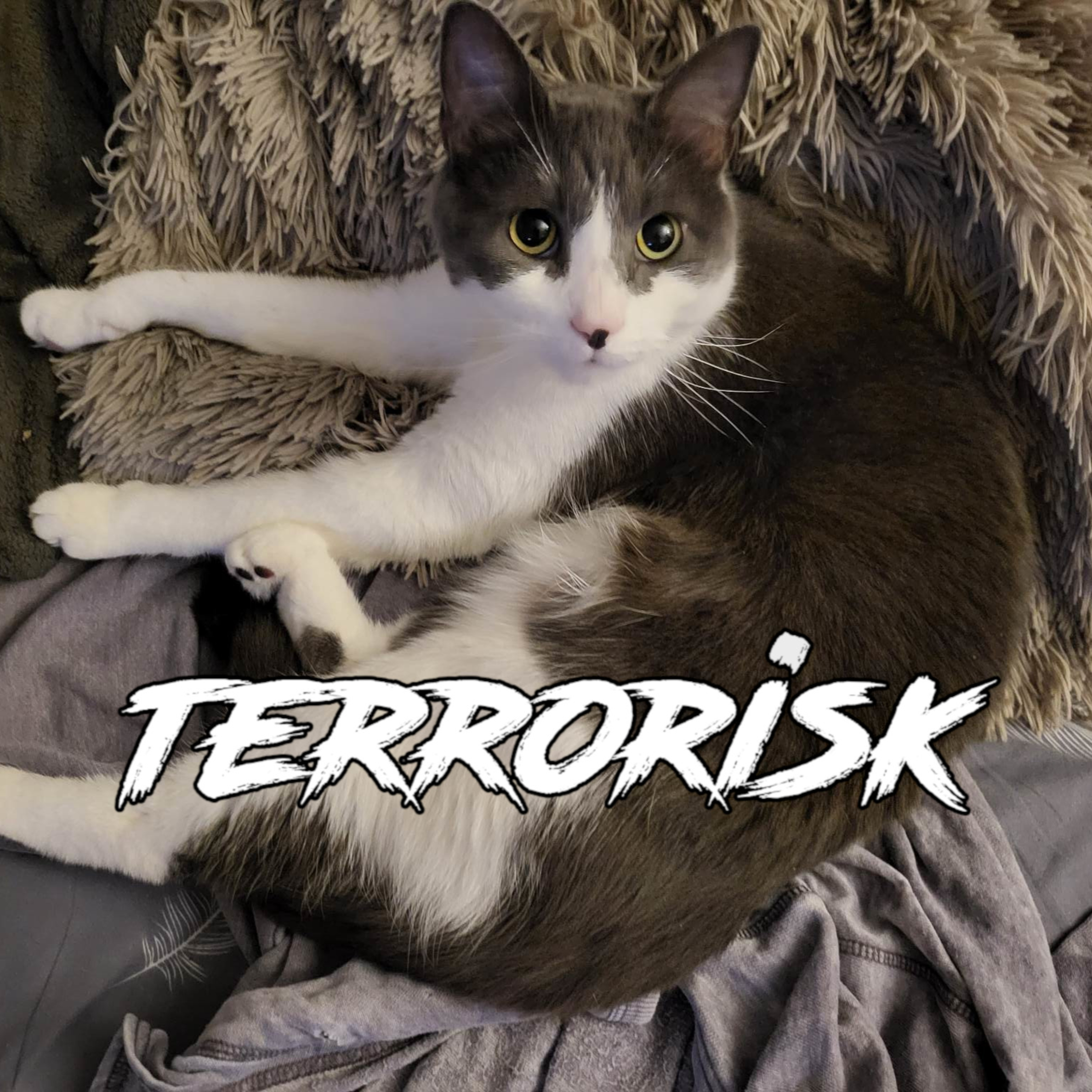 Terrorisk
