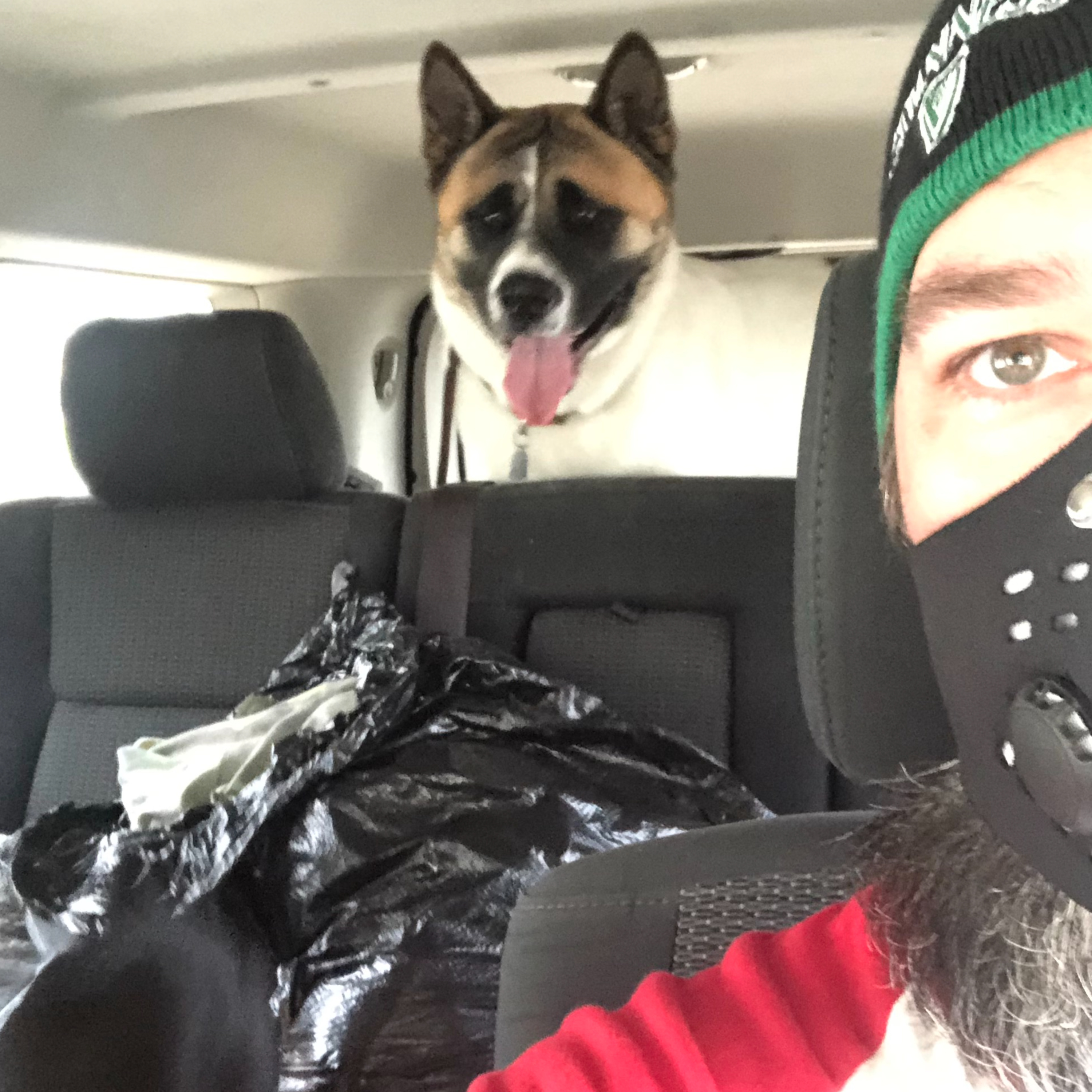Walking the dog - Fresh air, a nice walk, and a poop bag episode artwork