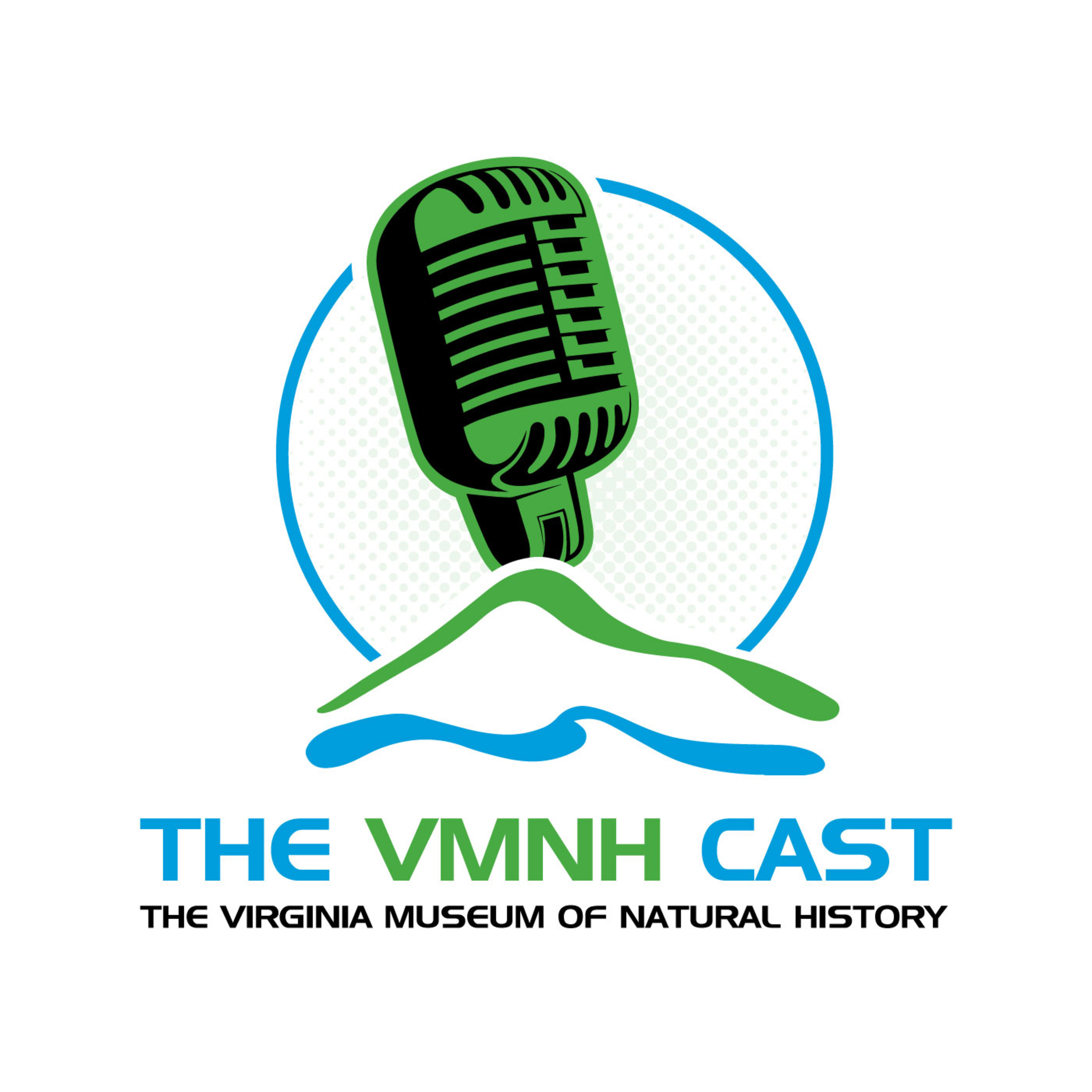 VMNHcast #1: The Cultural Heritage Monitoring Lab