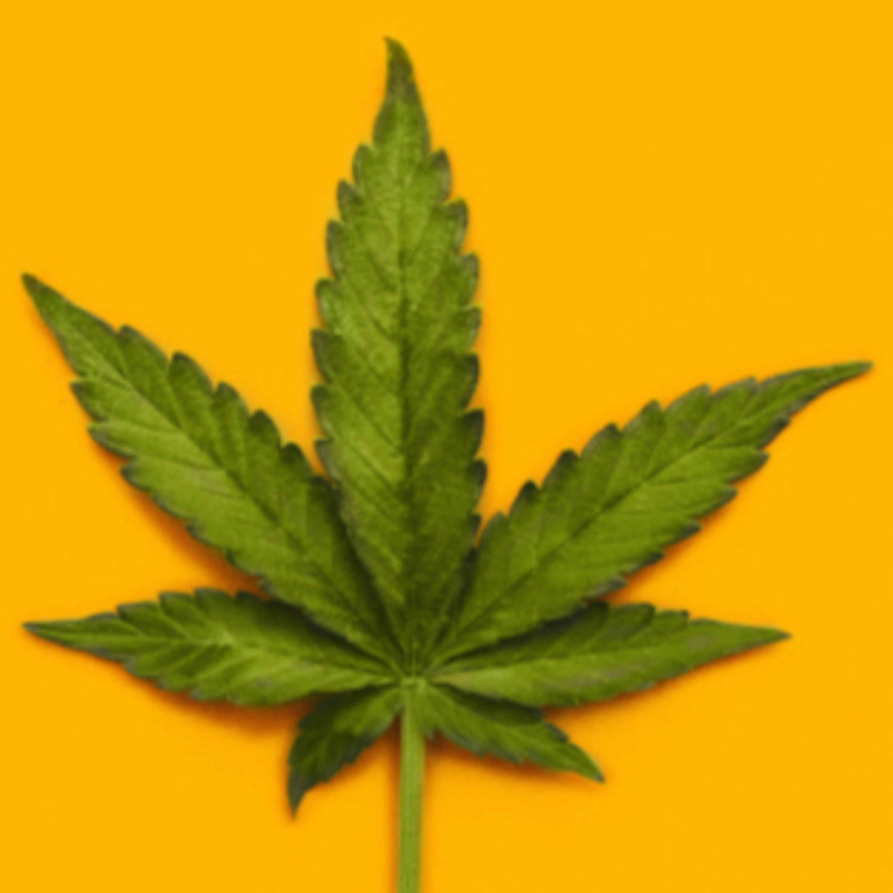 420 episode artwork