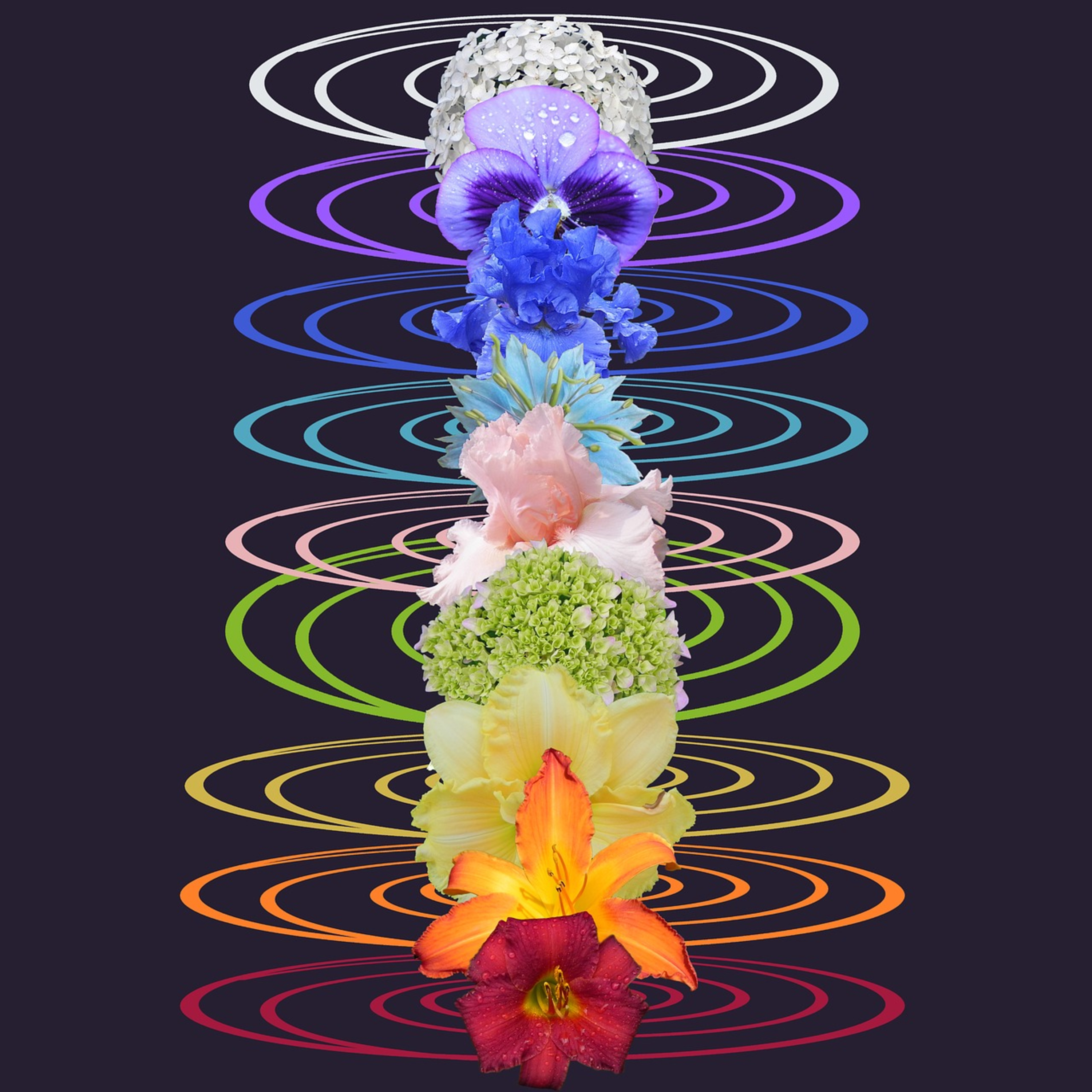 Balancing Chakras and Soul Retrieval episode artwork