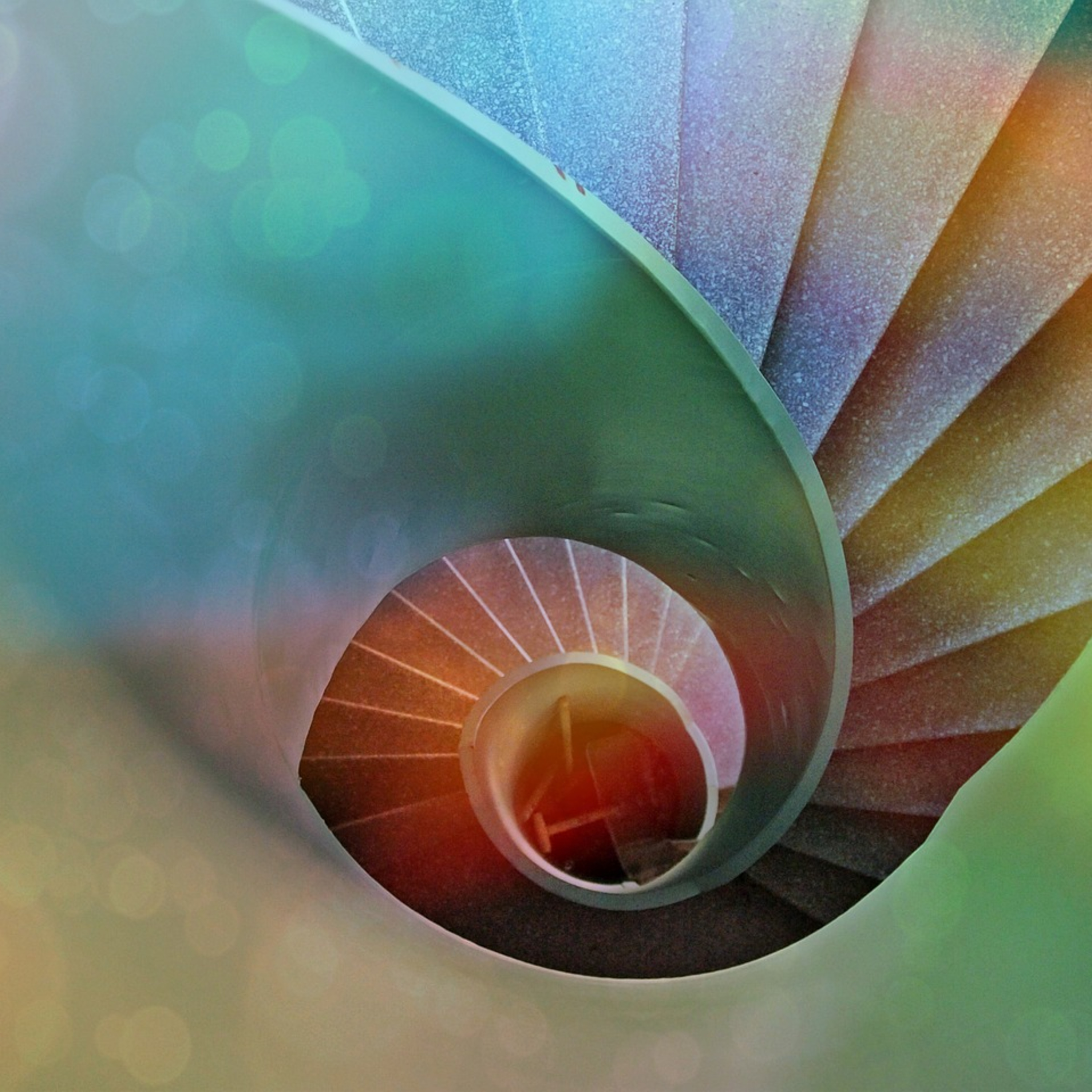  Renewal