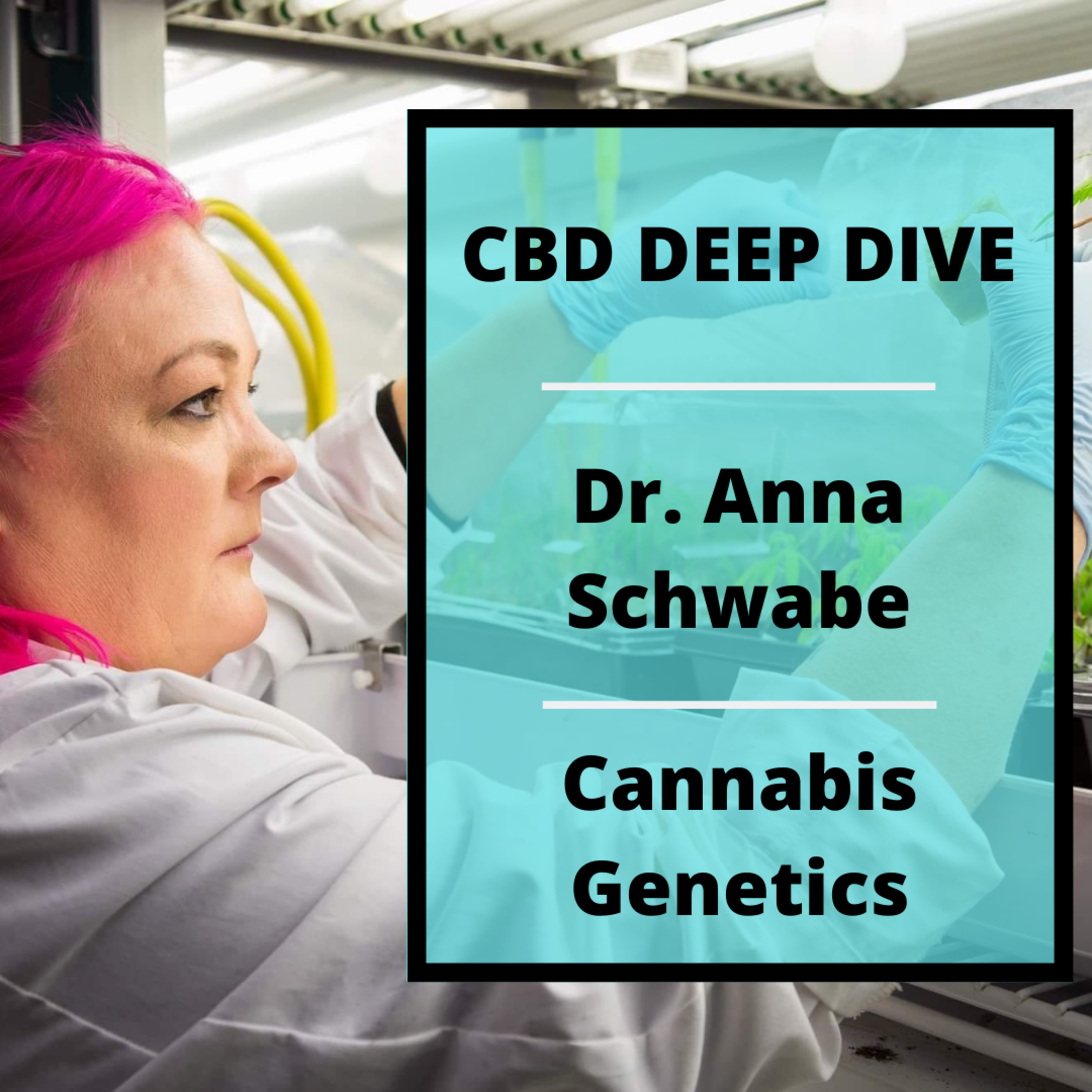 Cannabis Genetics with Dr. Anna Schwabe