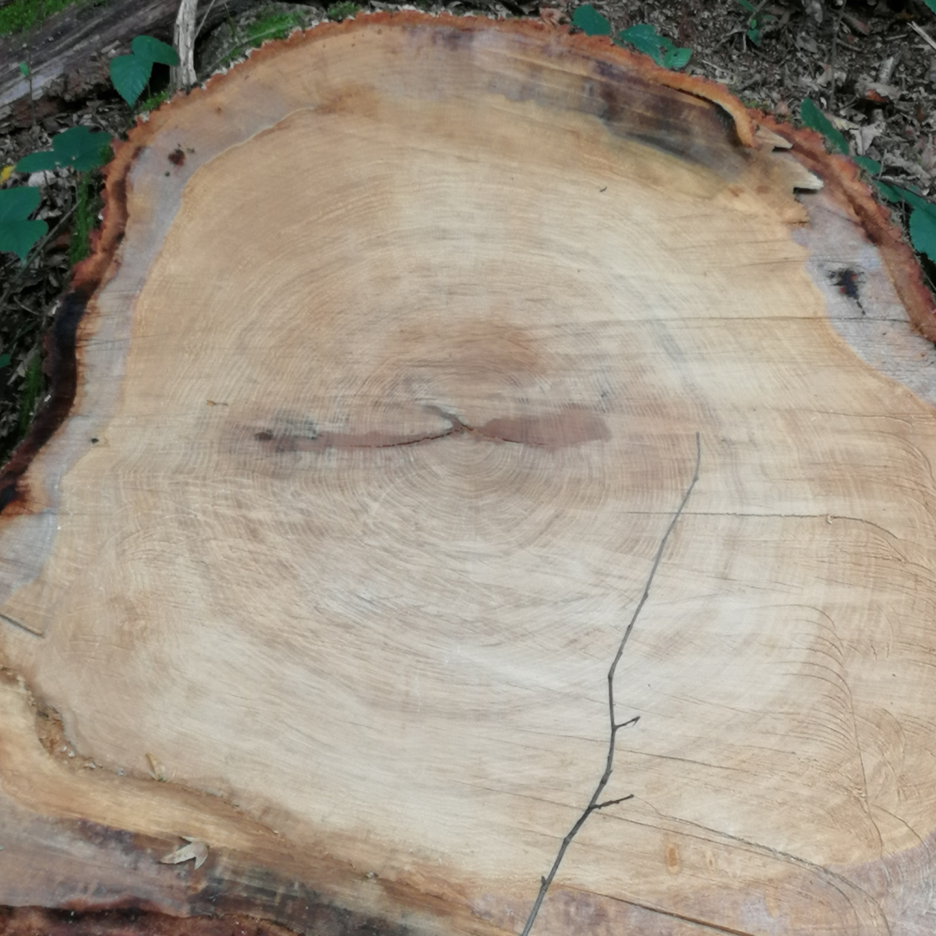 Komm bei dir selbst an. Meditation und Achtsamkeit. Camilla Jacob