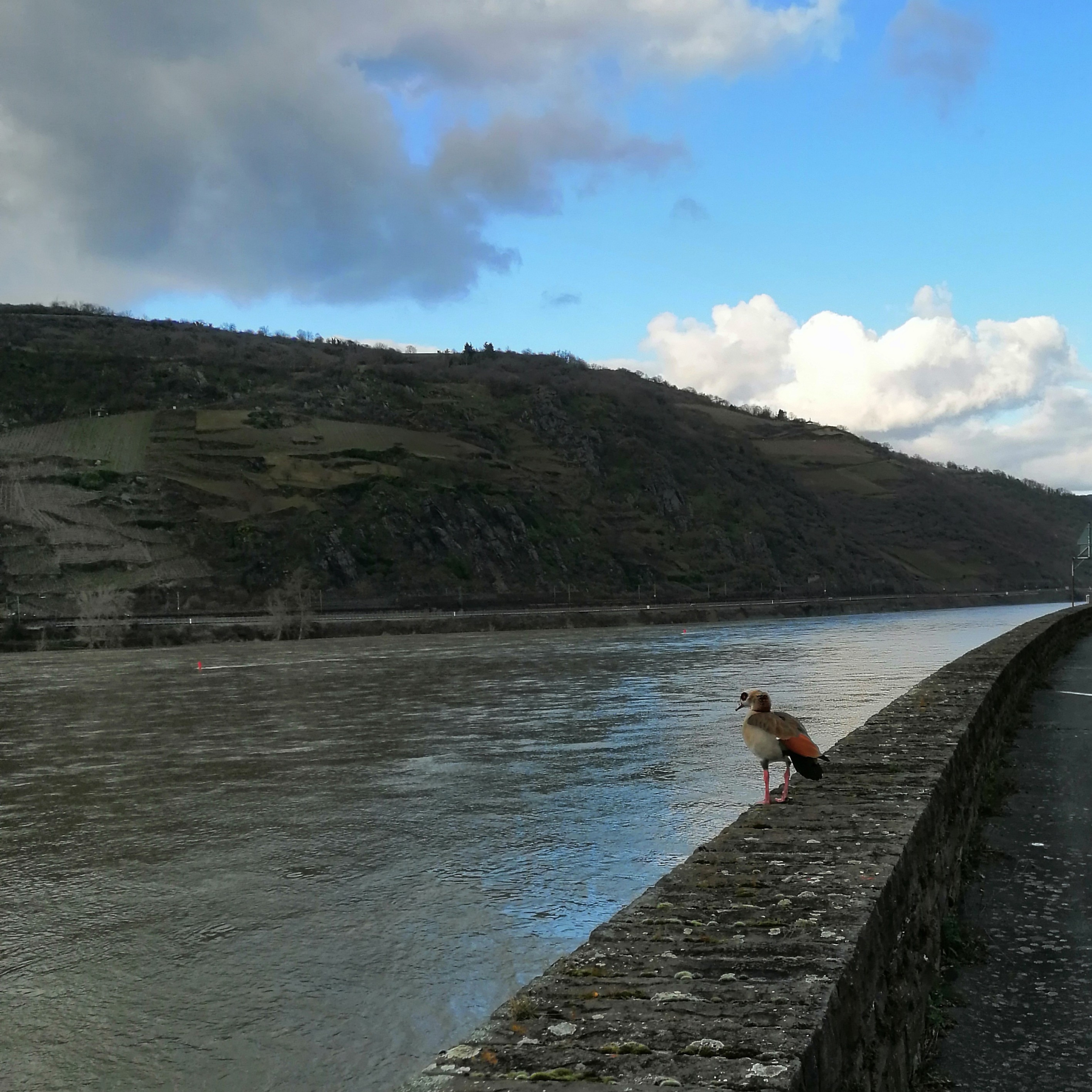 Komm bei dir selbst an. Meditation und Achtsamkeit. Camilla Jacob