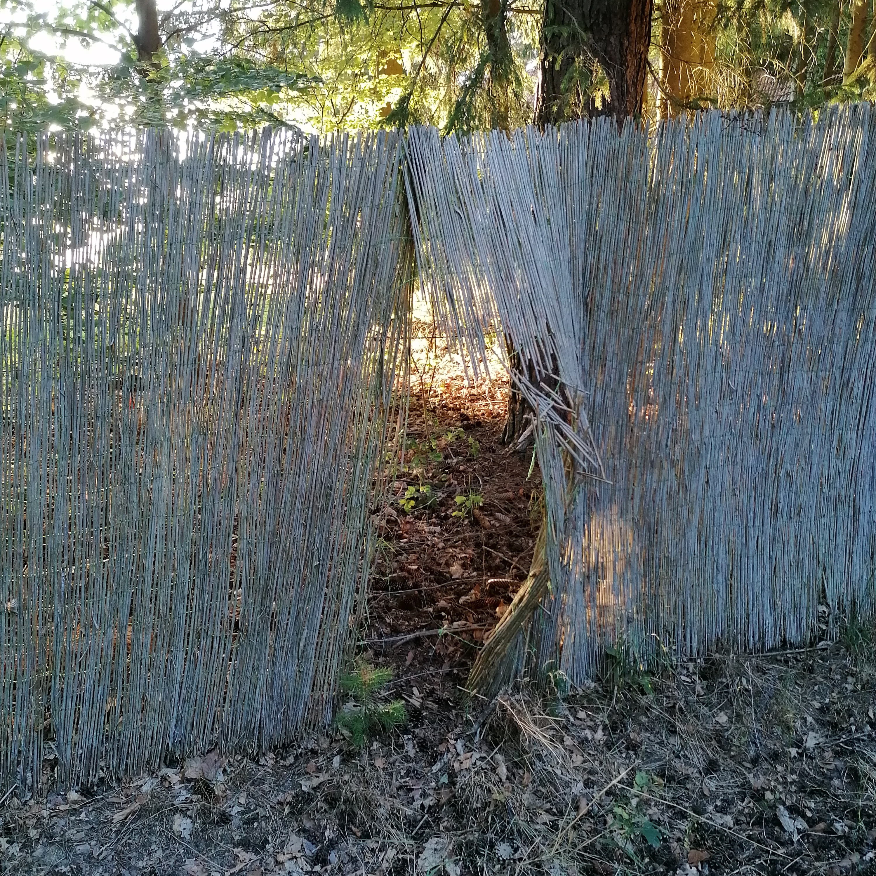 Komm bei dir selbst an. Meditation und Achtsamkeit. Camilla Jacob