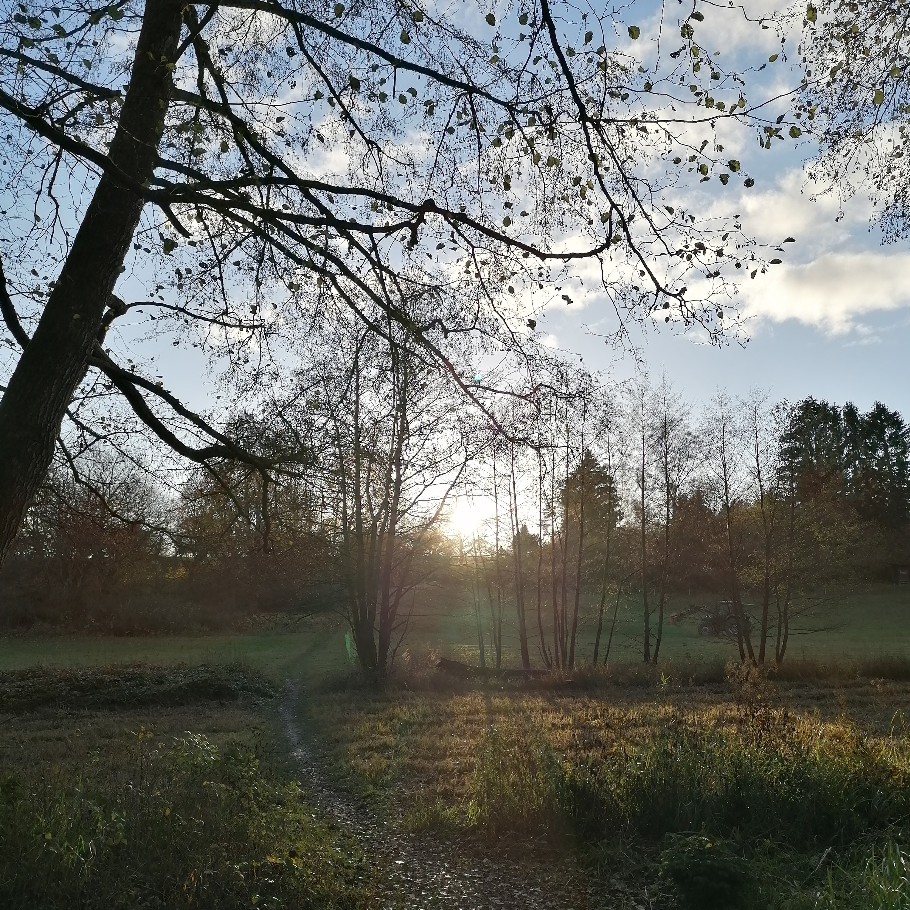 Komm bei dir selbst an. Meditation und Achtsamkeit. Camilla Jacob