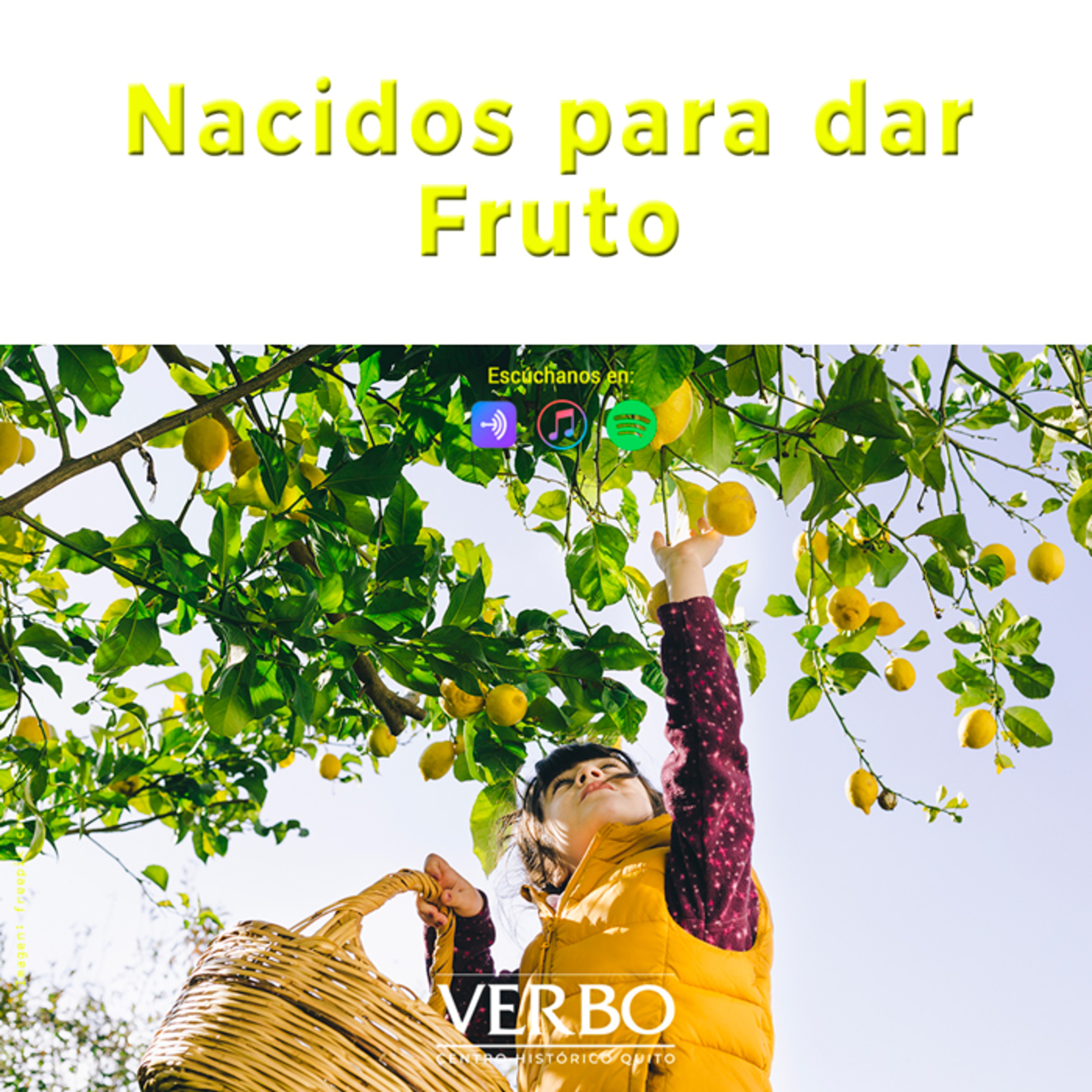 Verbo Centro Histórico Quito