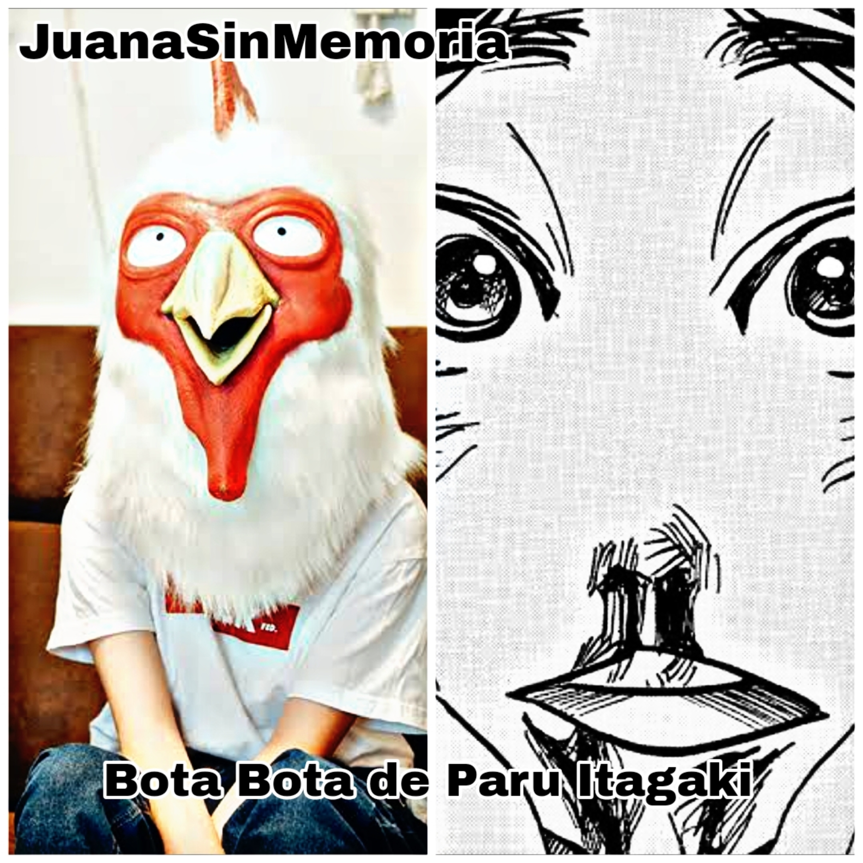 Portada de JuanaSinMemoria