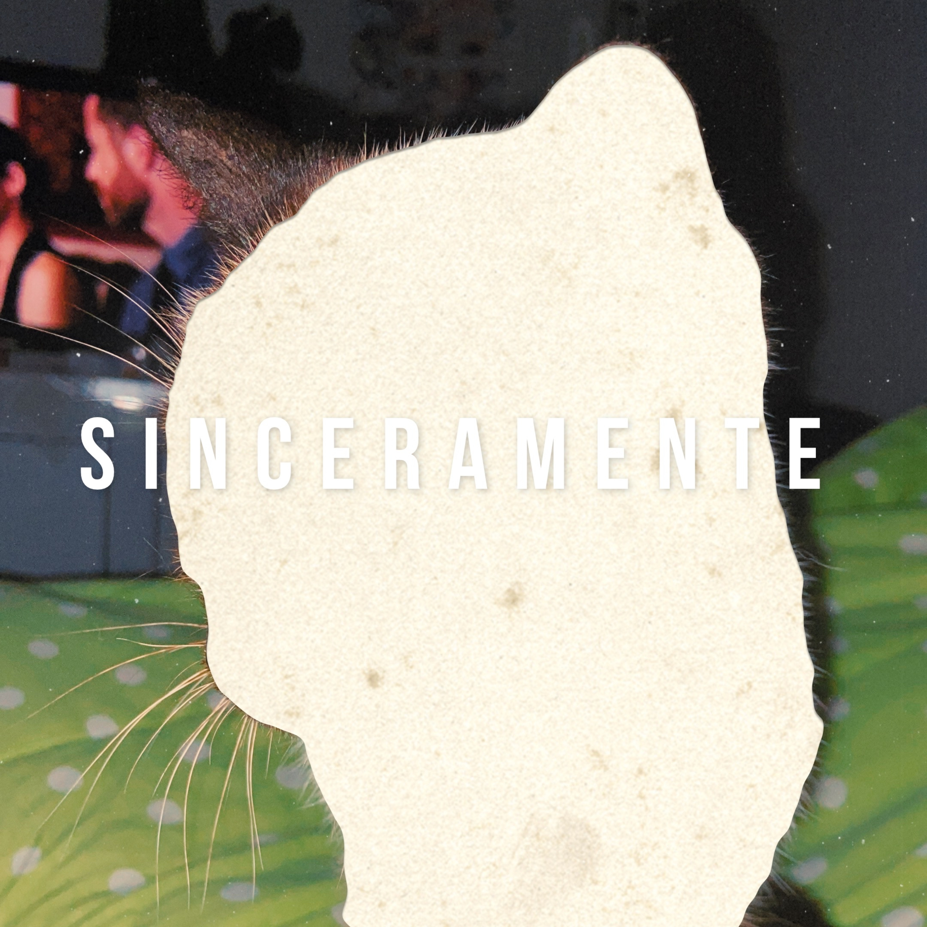 Sinceramente: Momento de Reflexão