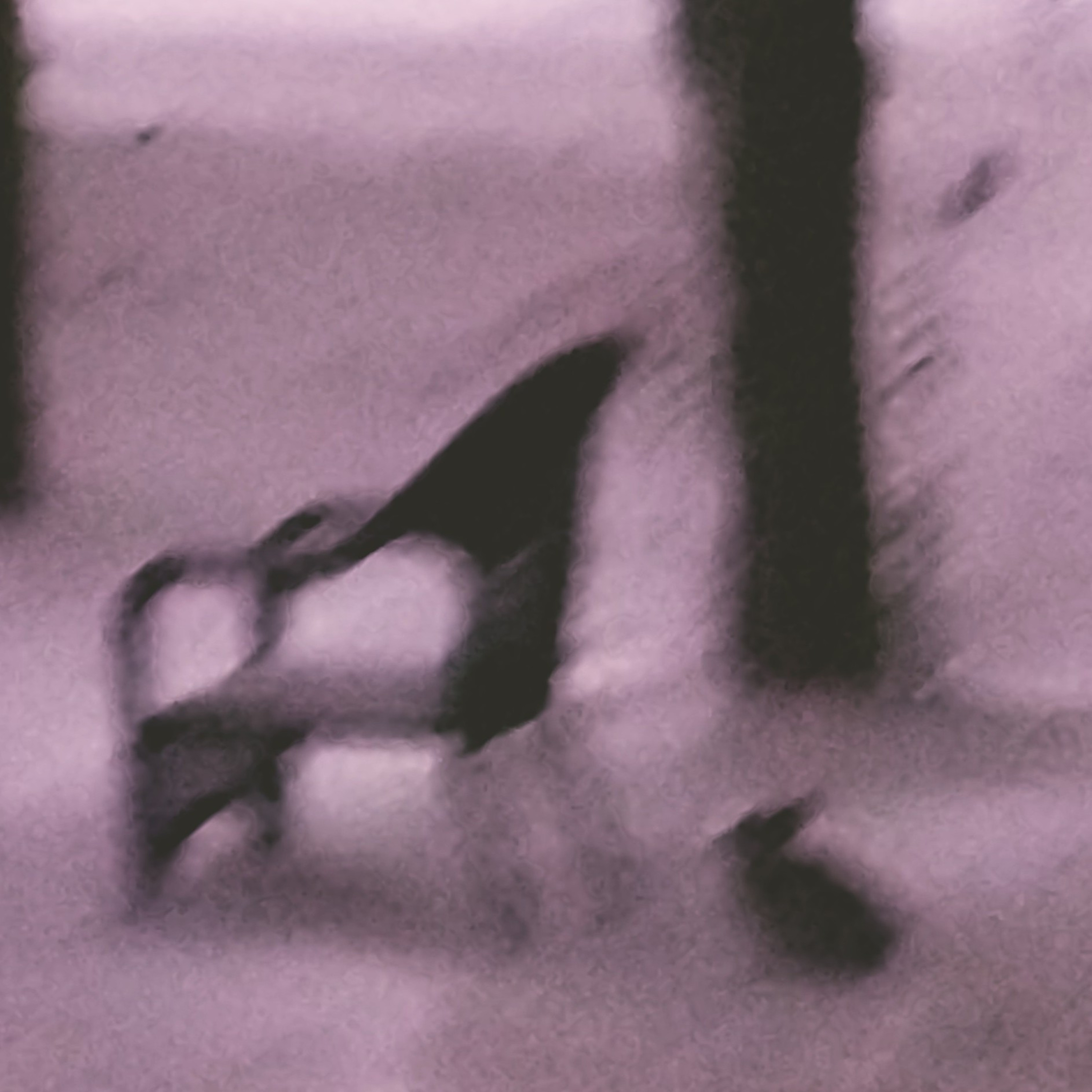 The Zodiac meets Roger Rabbit The Zodiac meets Roger Rabbit