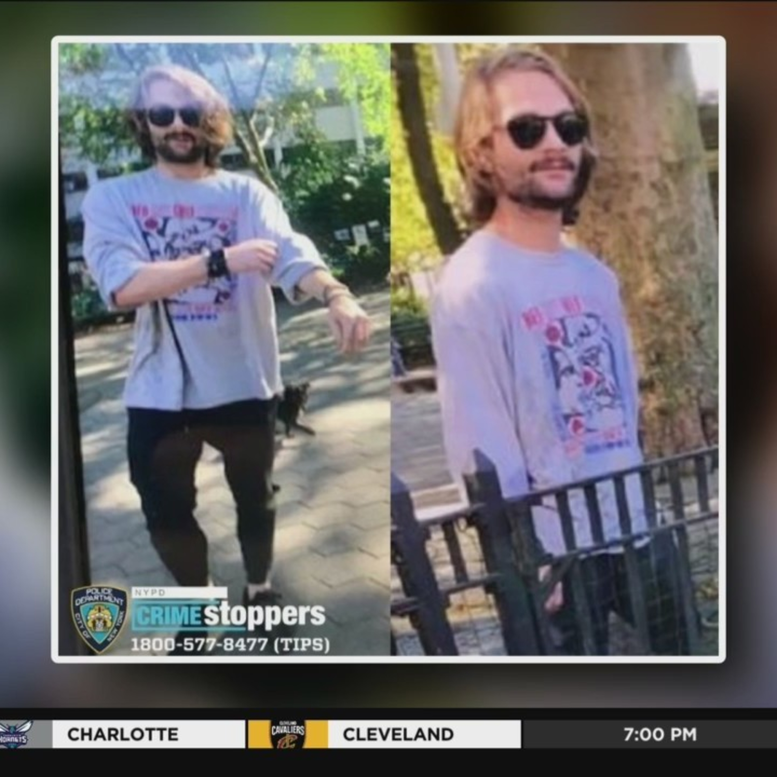 MAN ATTACKS 11YR OLD GIRL IN PARK -NEWYORK episode artwork