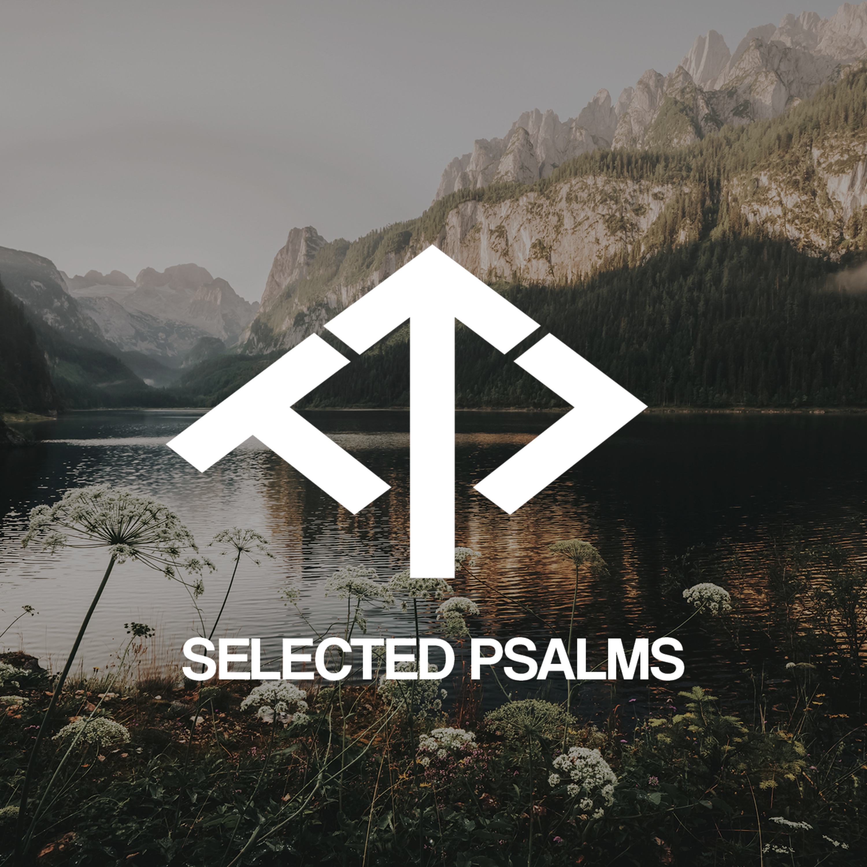 Selected Psalms: Psalm 42 episode artwork