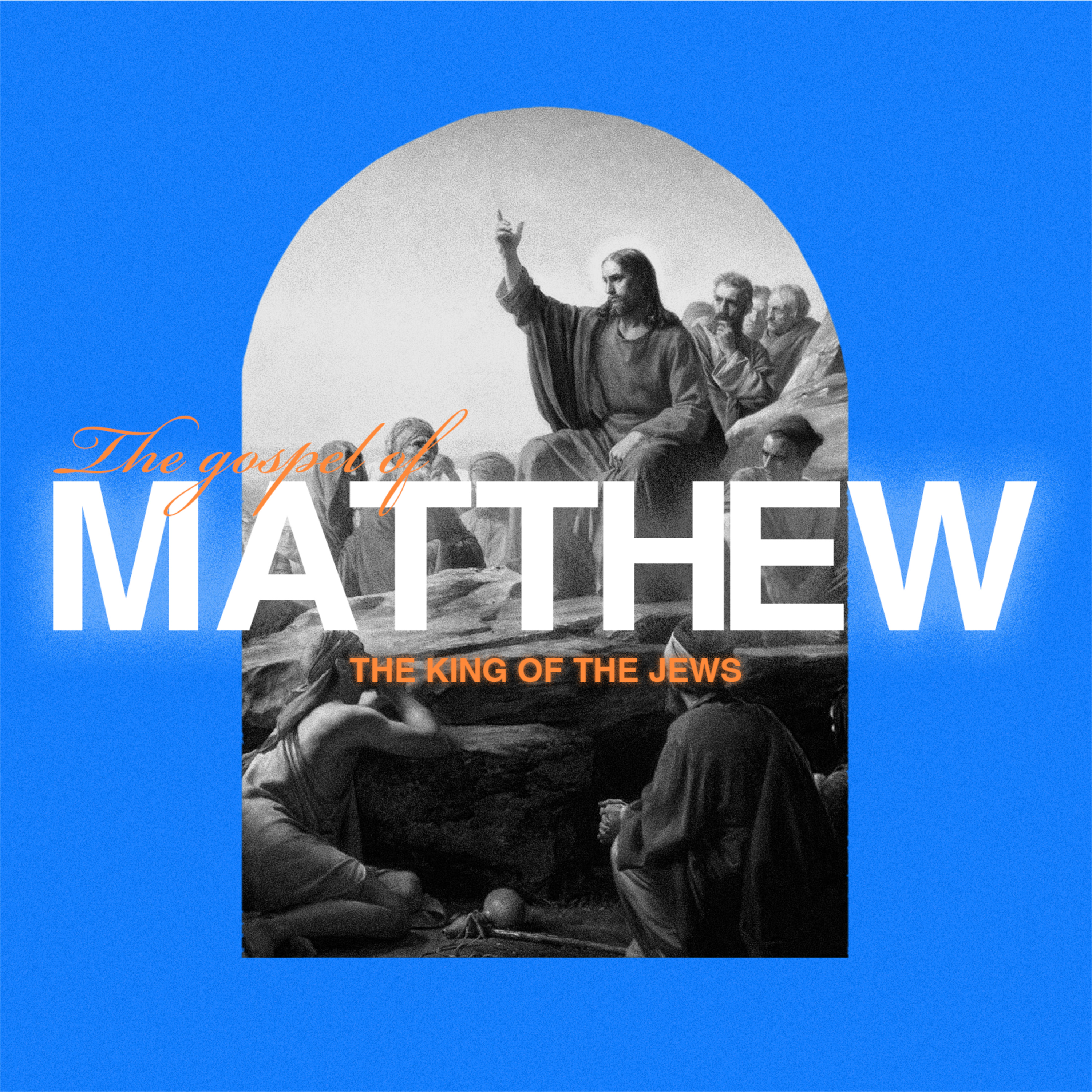 Matthew 9:1-31 episode artwork