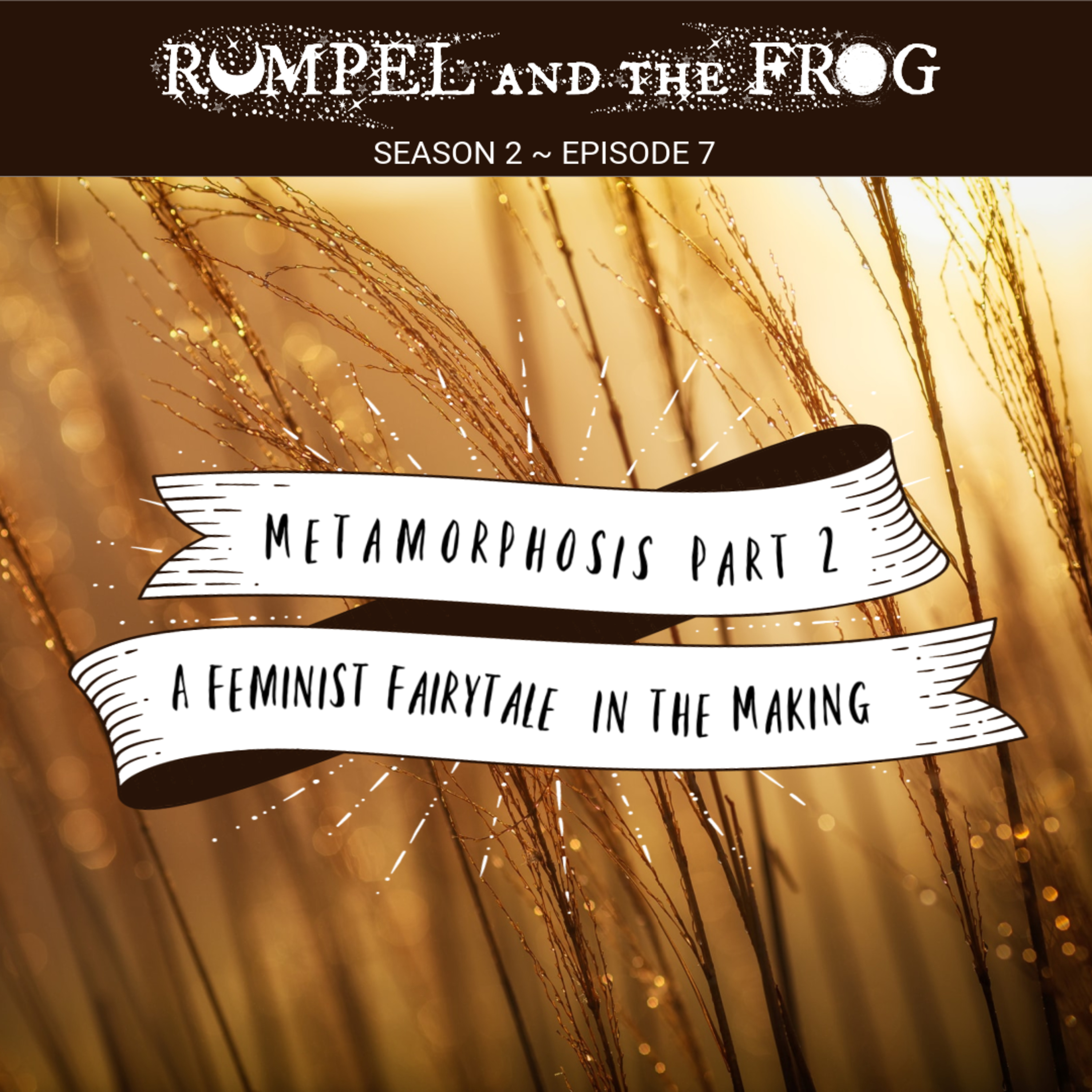 Metamorphosis Part 2: A Feminist Fairytale in the Making episode artwork