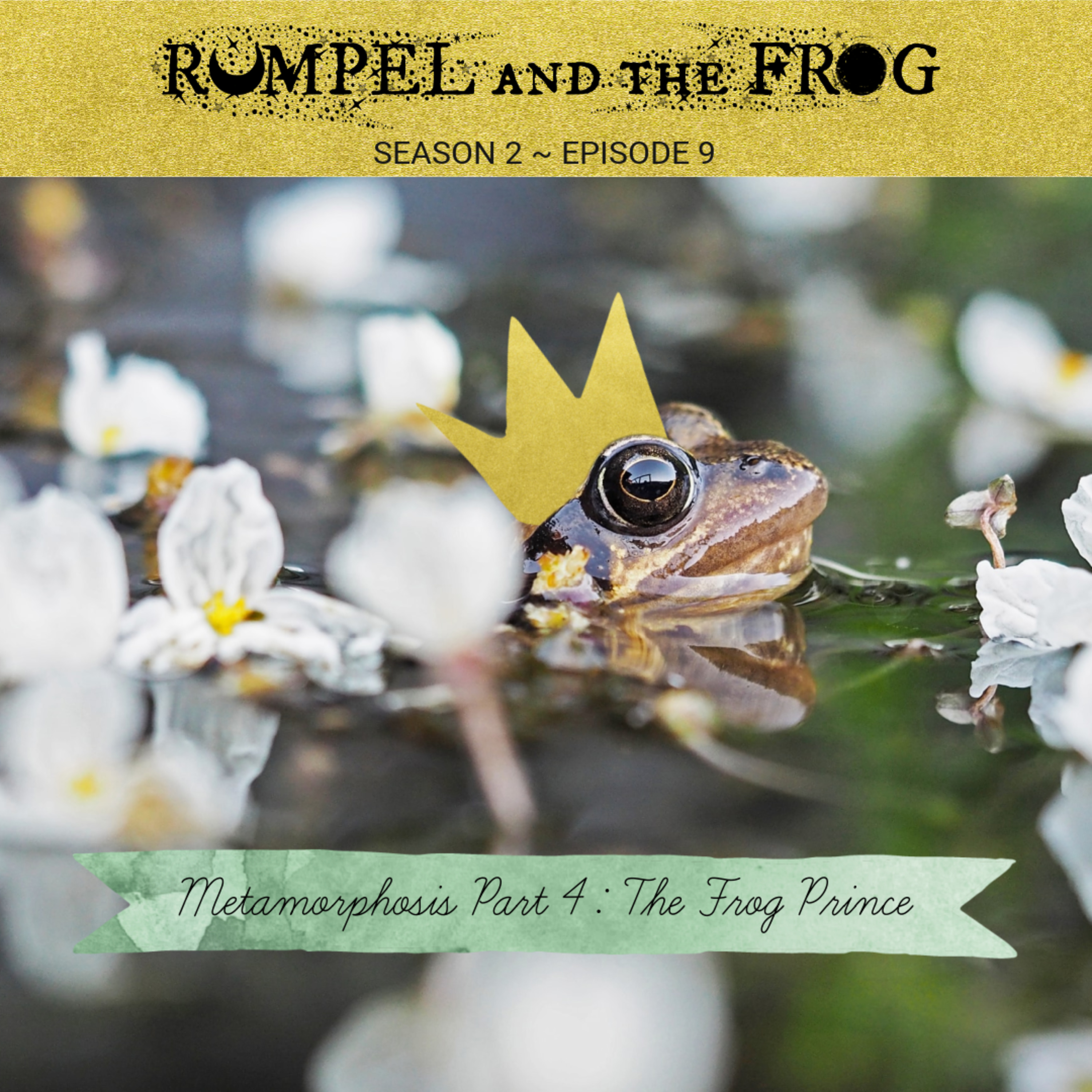 Metamorphosis Part 4: The Frog Prince episode artwork