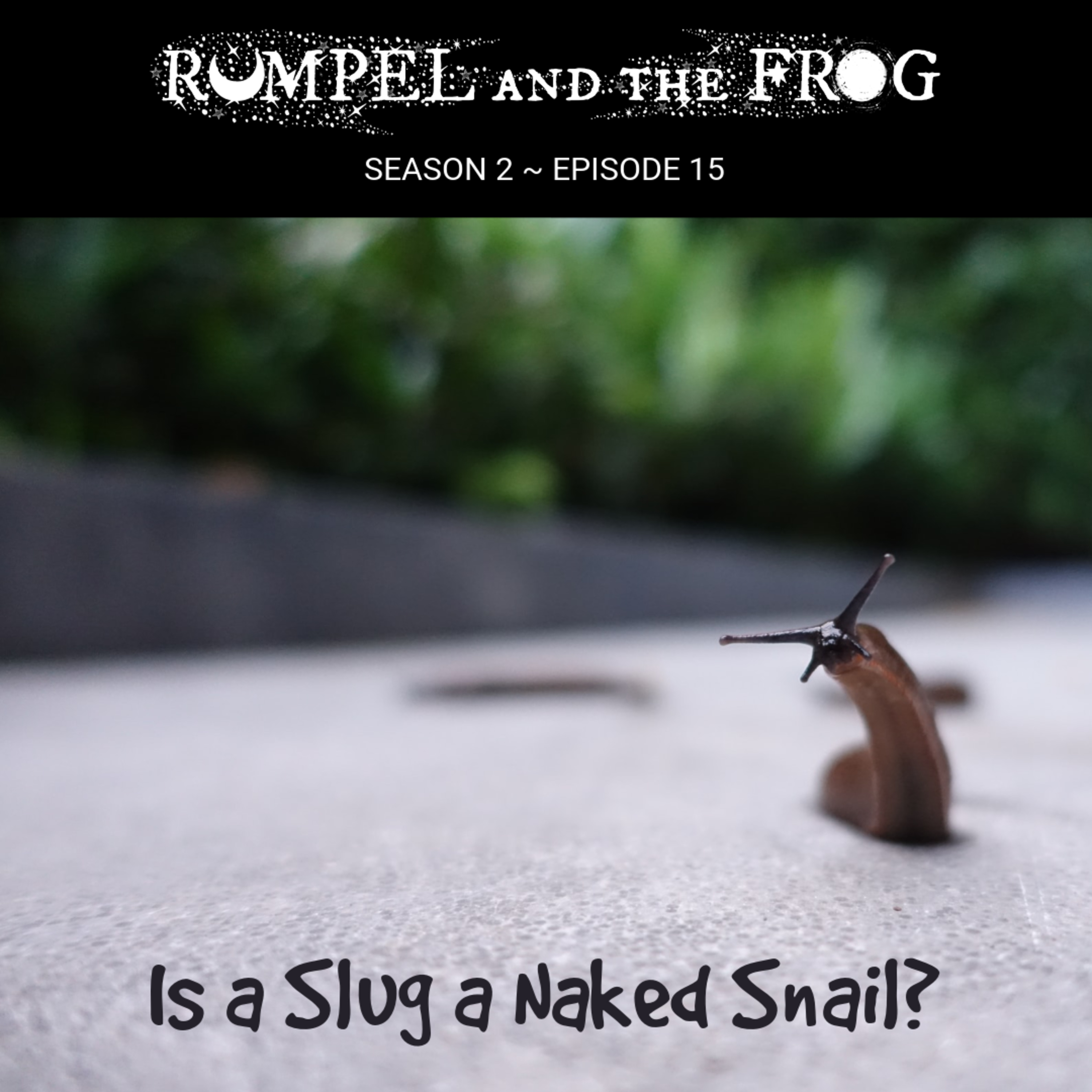 Is a Slug a Naked Snail? episode artwork