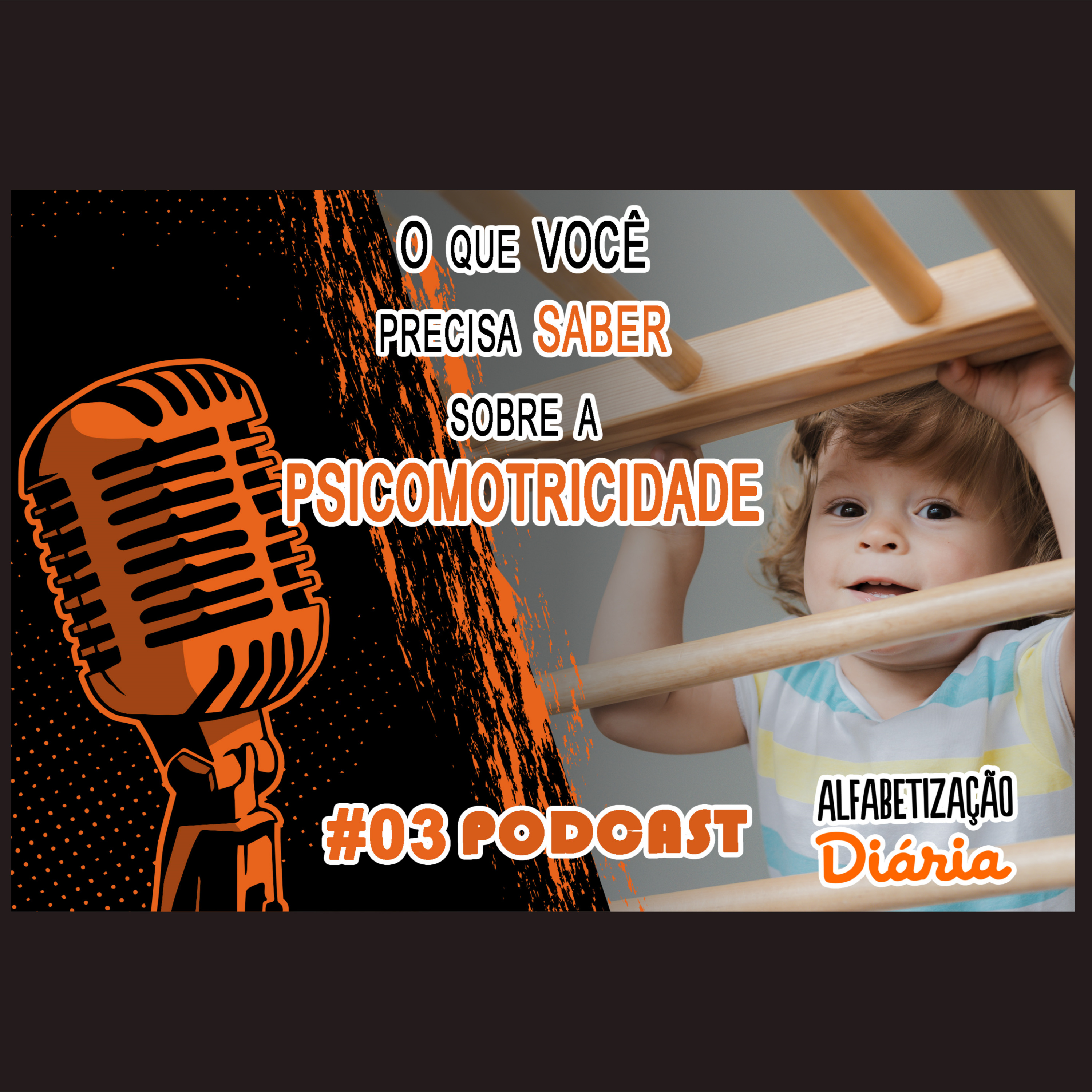 Alfabetização Diária