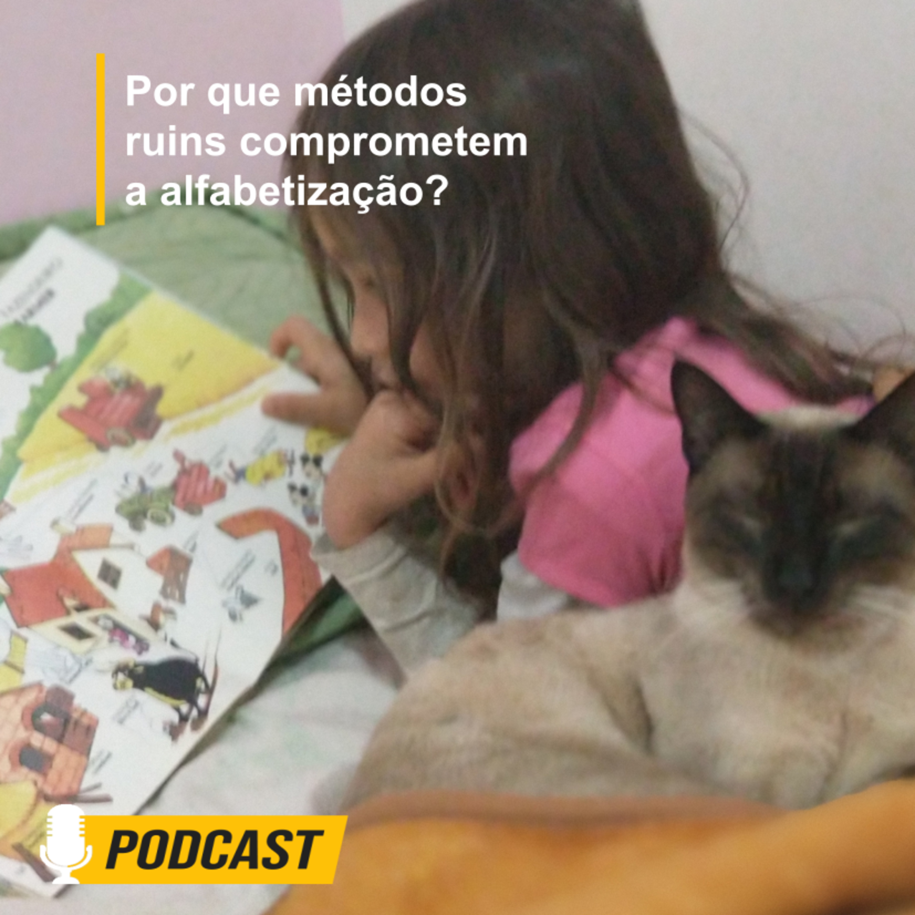 Alfabetização Diária