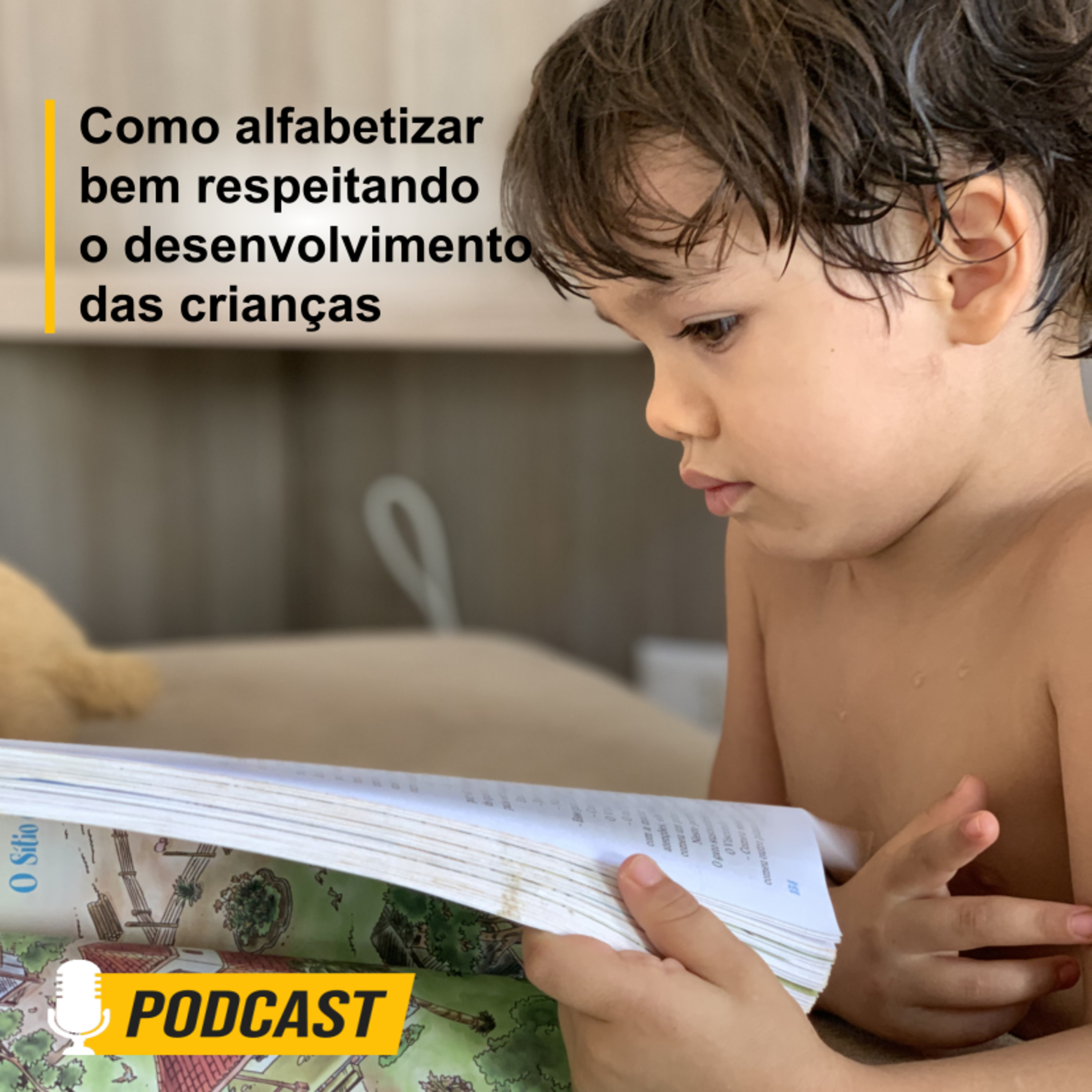 Alfabetização Diária