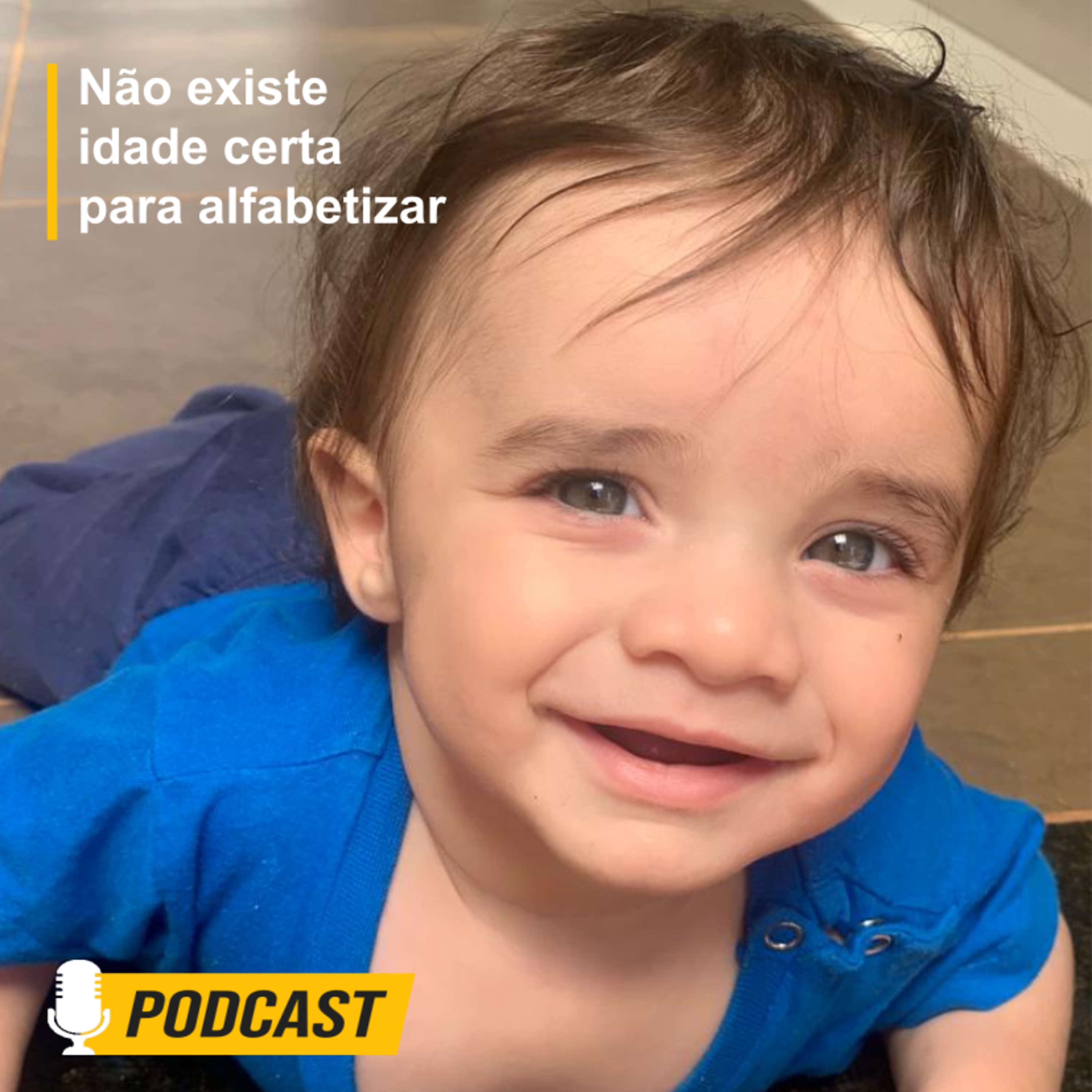 Alfabetização Diária