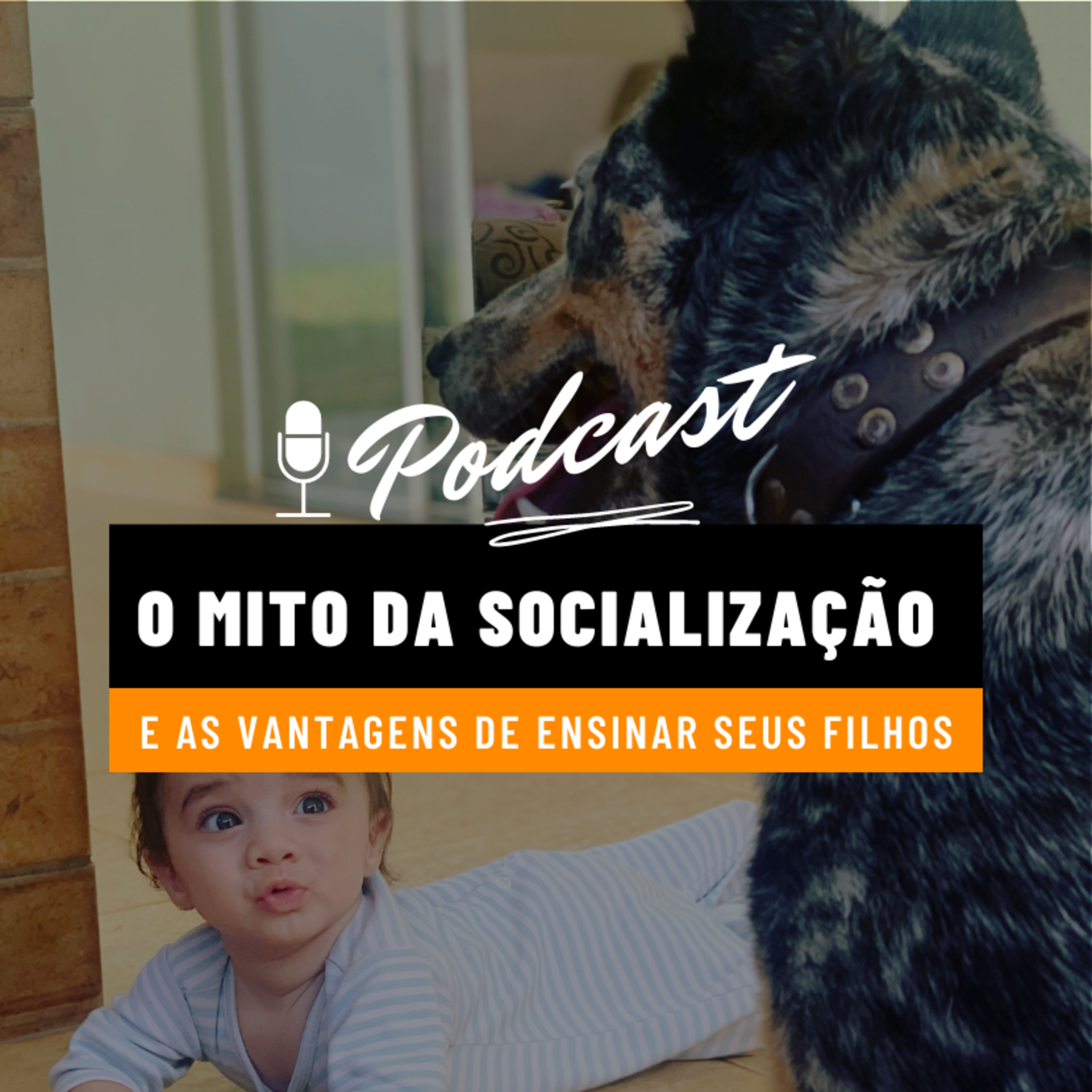 Alfabetização Diária