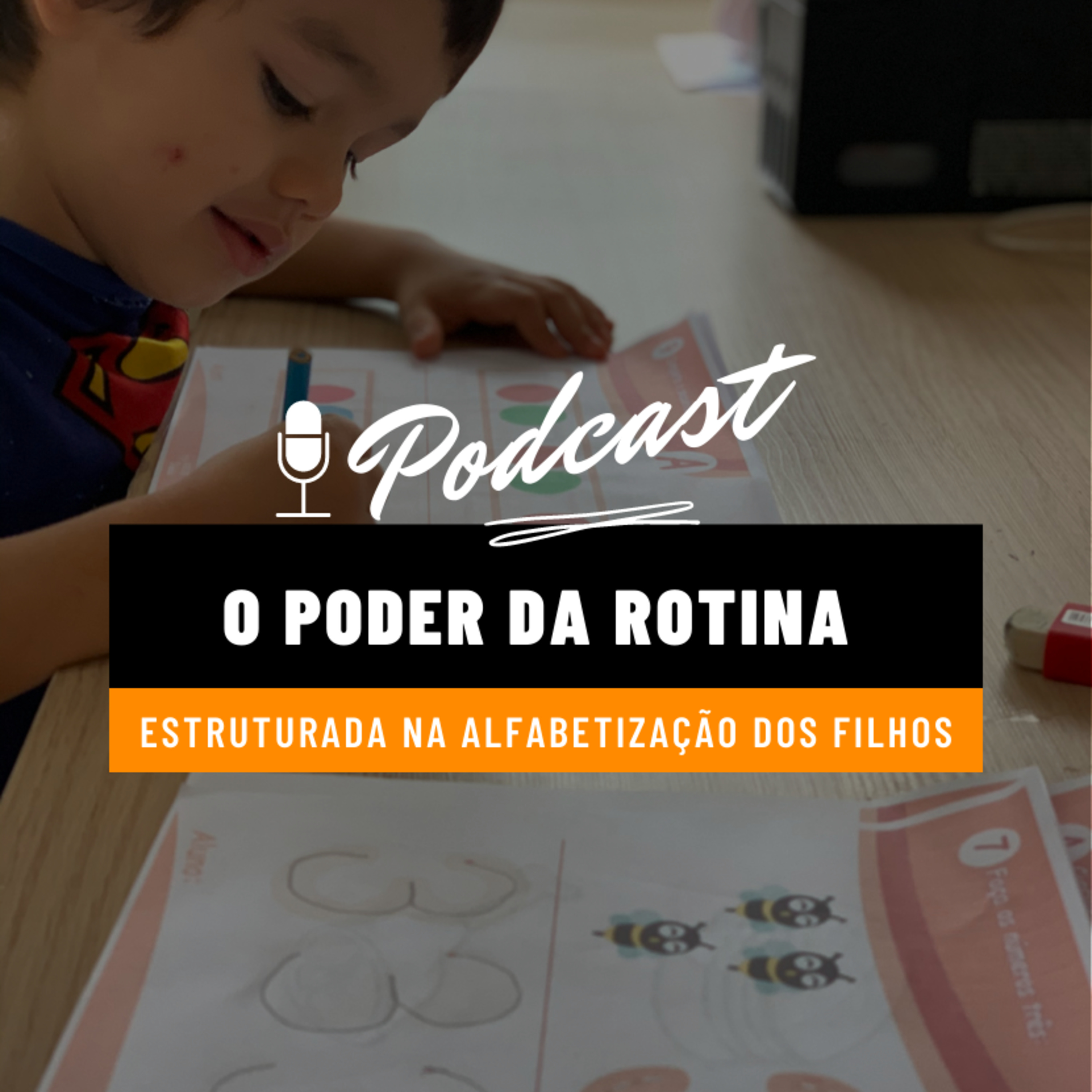 Alfabetização Diária