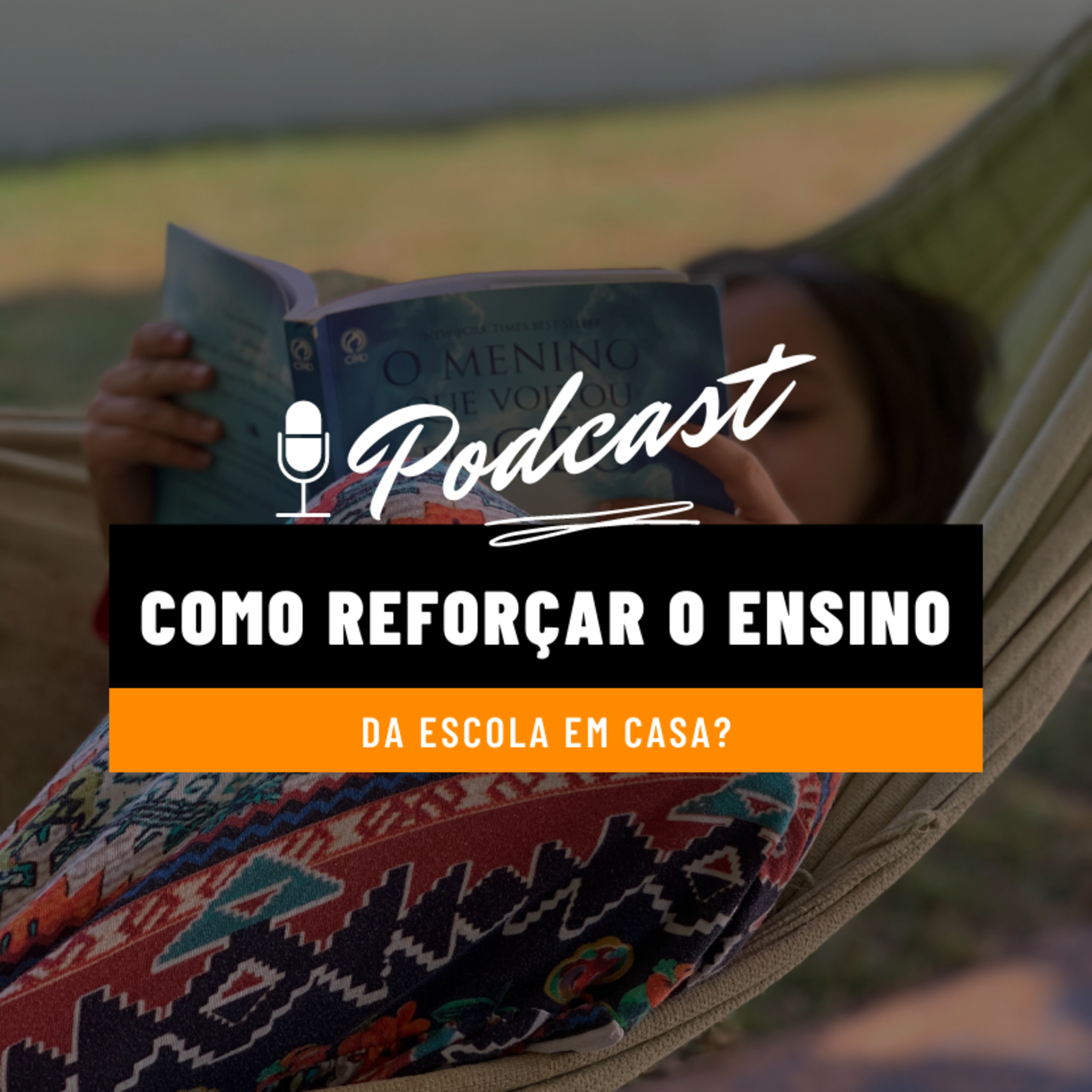Alfabetização Diária