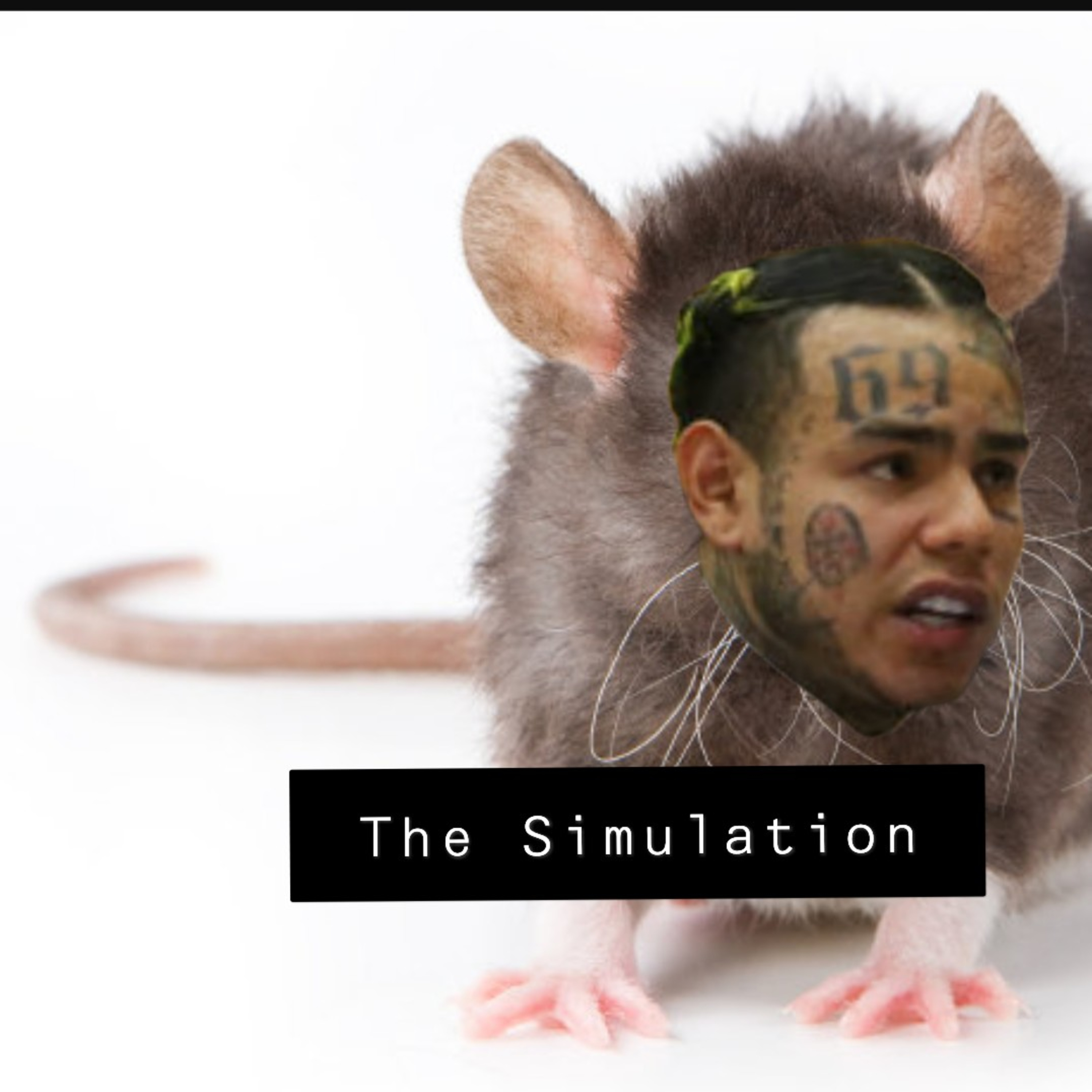 The Simulation with Zay and Kas
