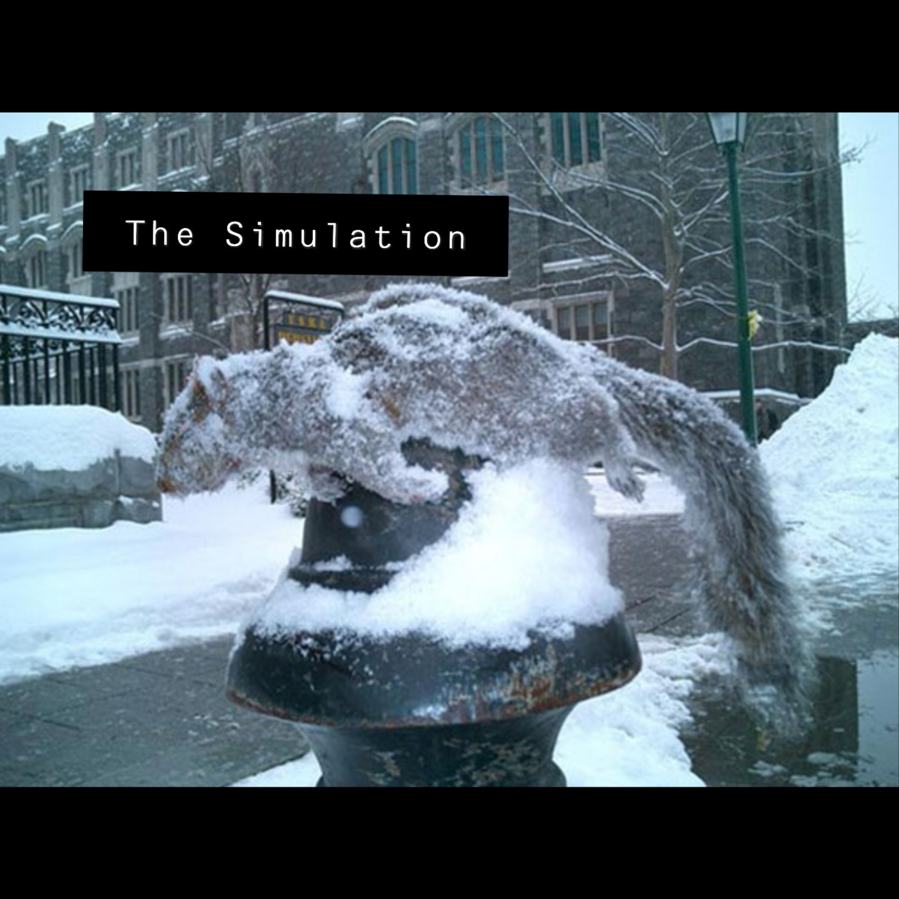 The Simulation with Zay and Kas