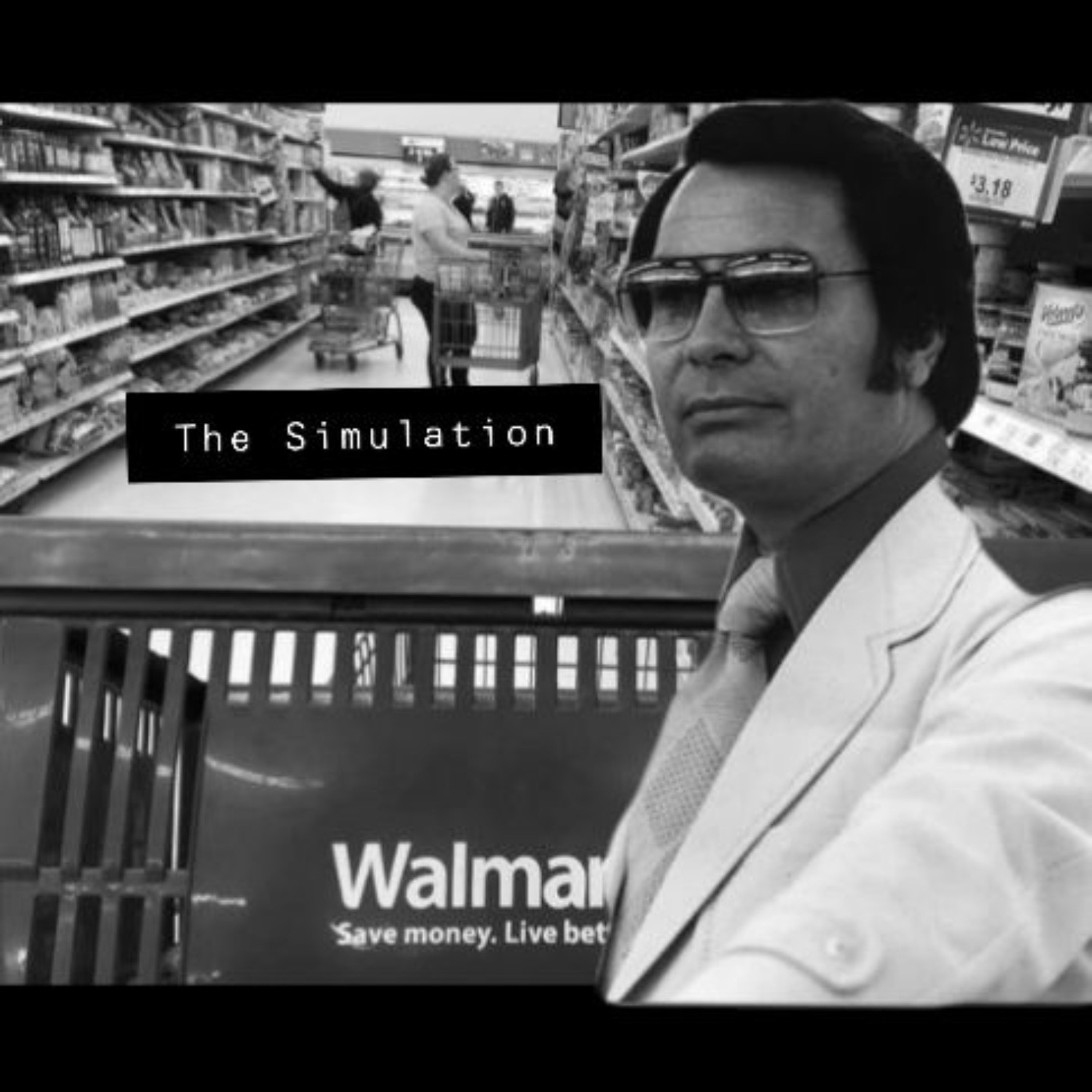 The Simulation with Zay and Kas