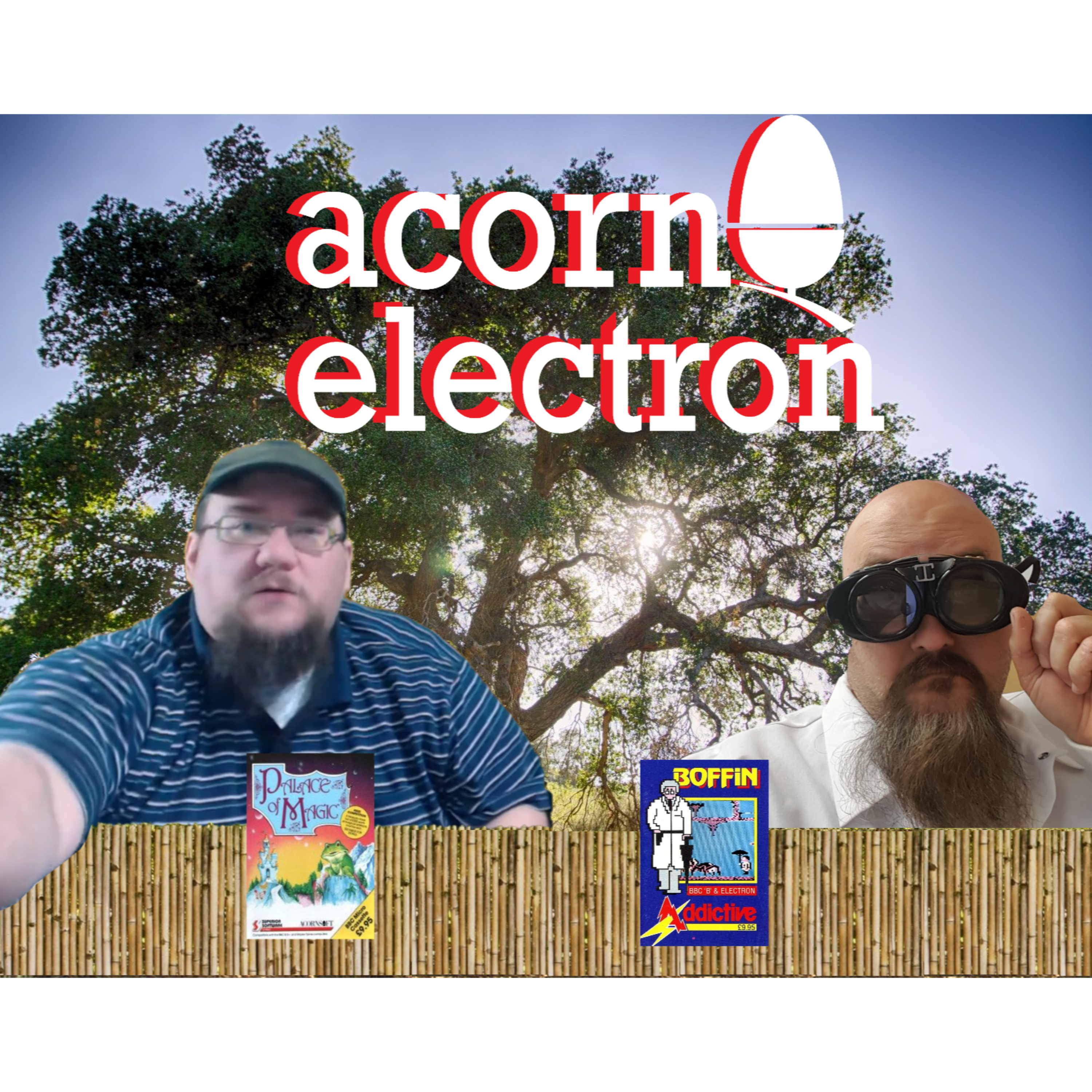 Acorn Electron Games - Boffin & Palace of Magic - ARG Presents 126