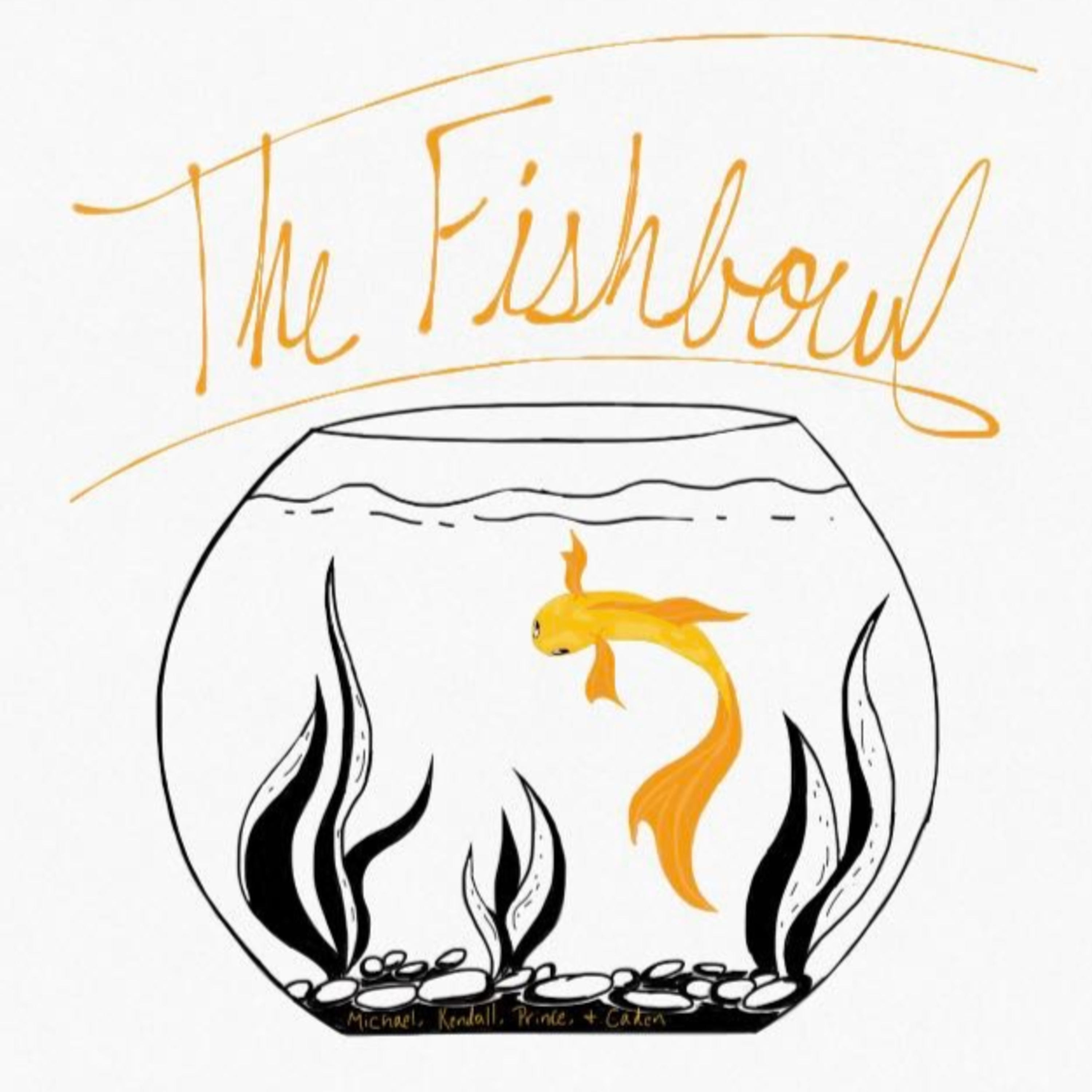 The Fishbowl: Episode 9 (Skateboarding, Disney Channel Original Movies and Weird Jedi) episode artwork
