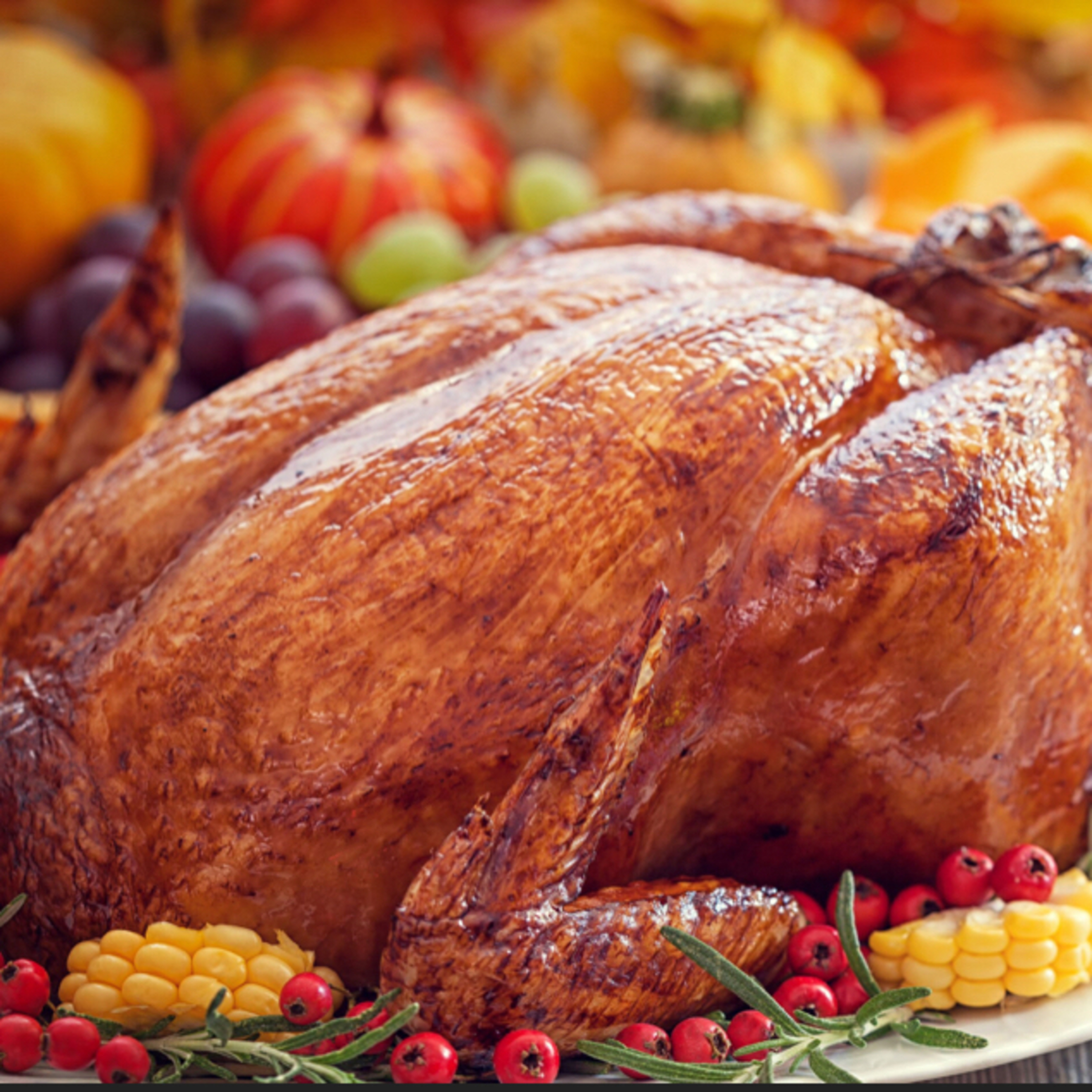 Thanksgiving special part 1 episode artwork