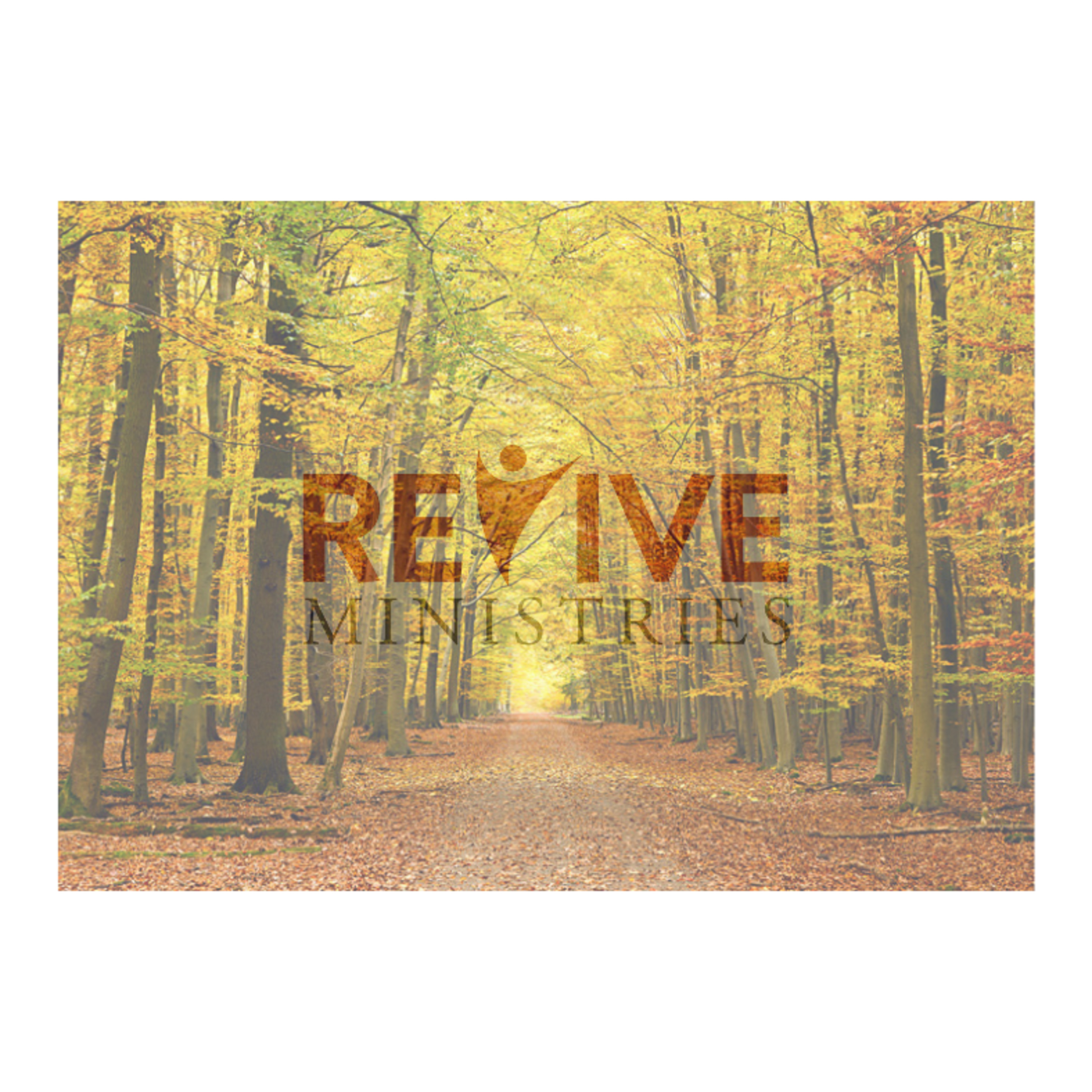 Revive Ministries Podcast "It's ok to fall" with Michael Jones episode artwork
