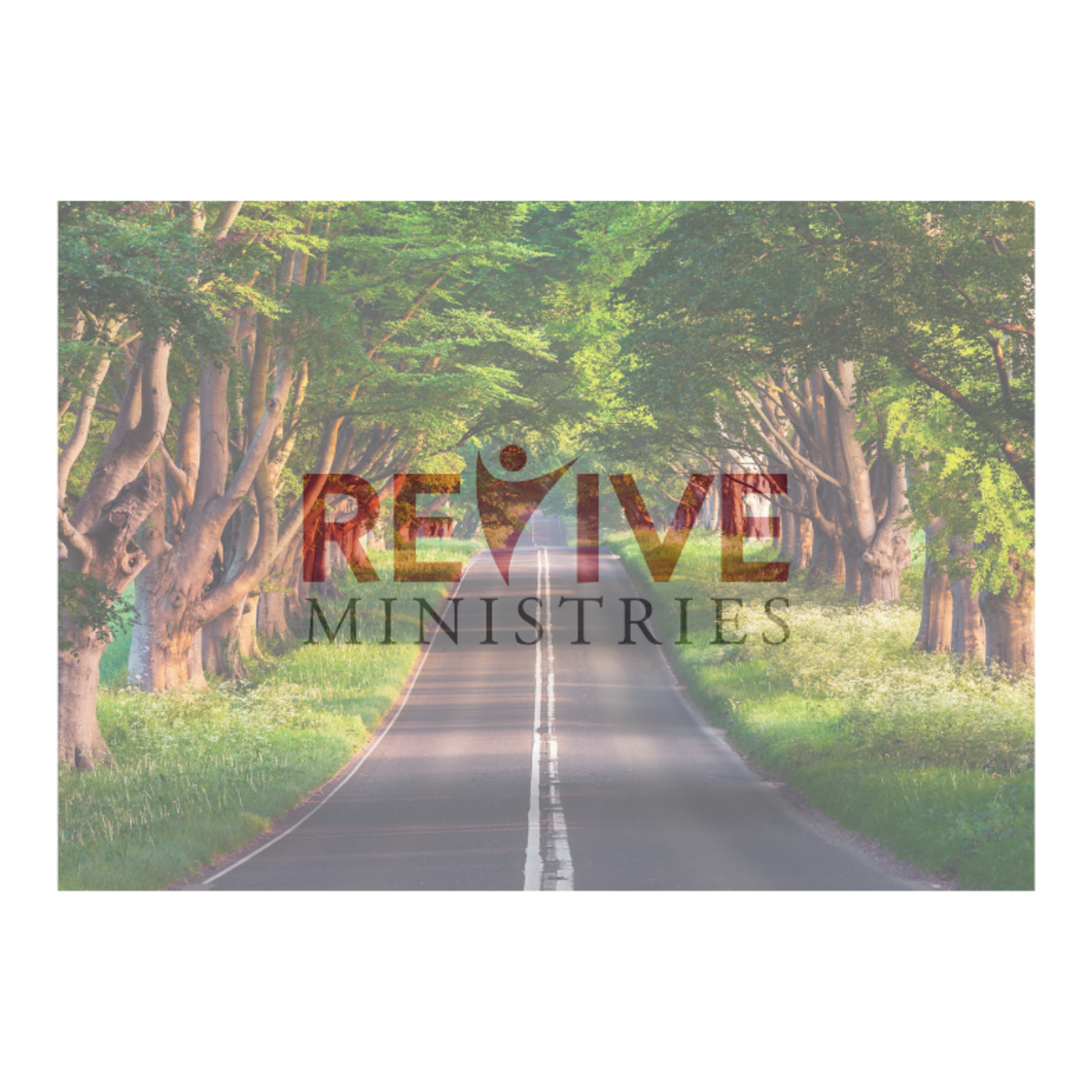Beginning 2nd Year of Podcast Update, Revive Ministries episode artwork