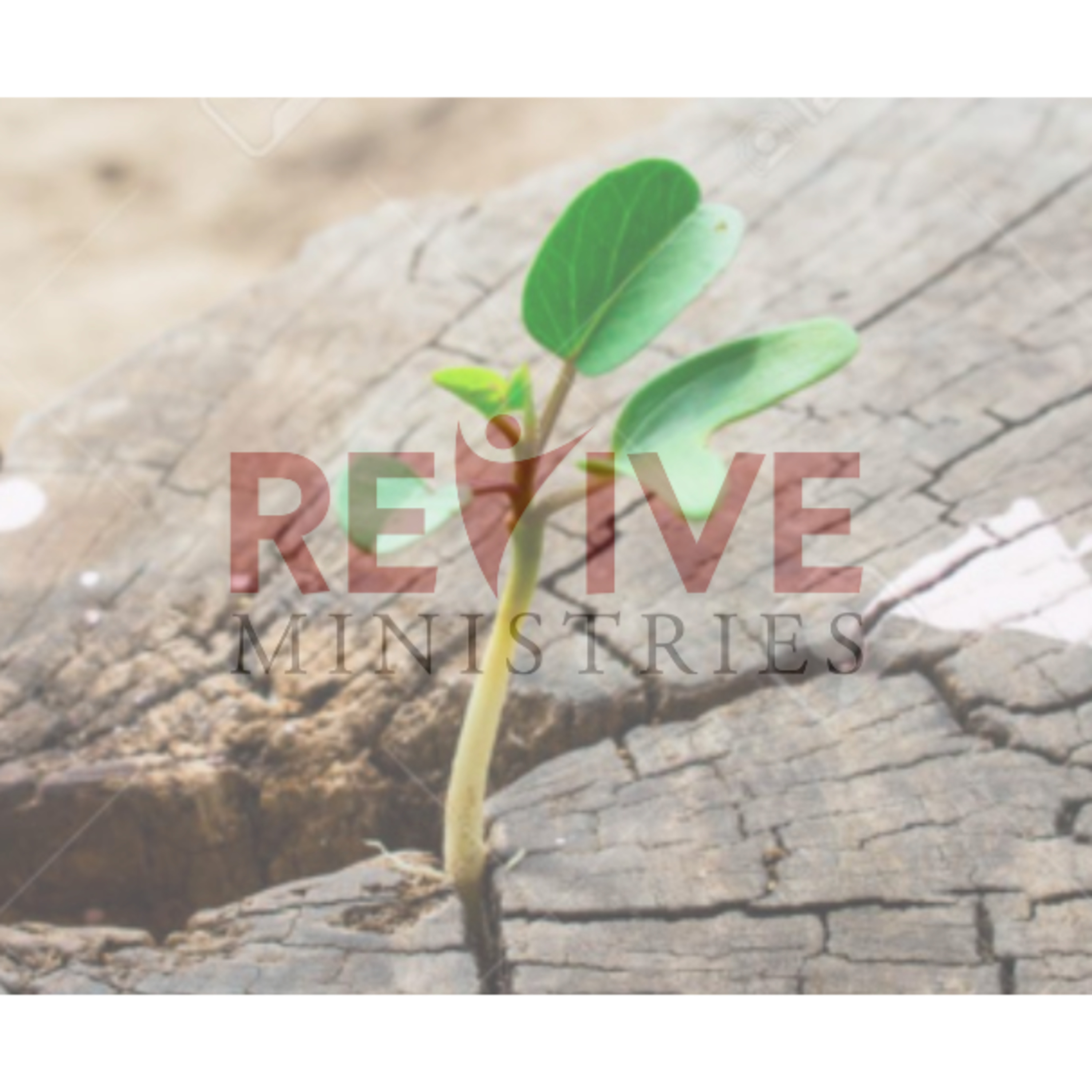 “How Value Helps Us Heal in Our Recovery and Wellness” Live-stream Recording, Part 3 with Morgan Johnson episode artwork