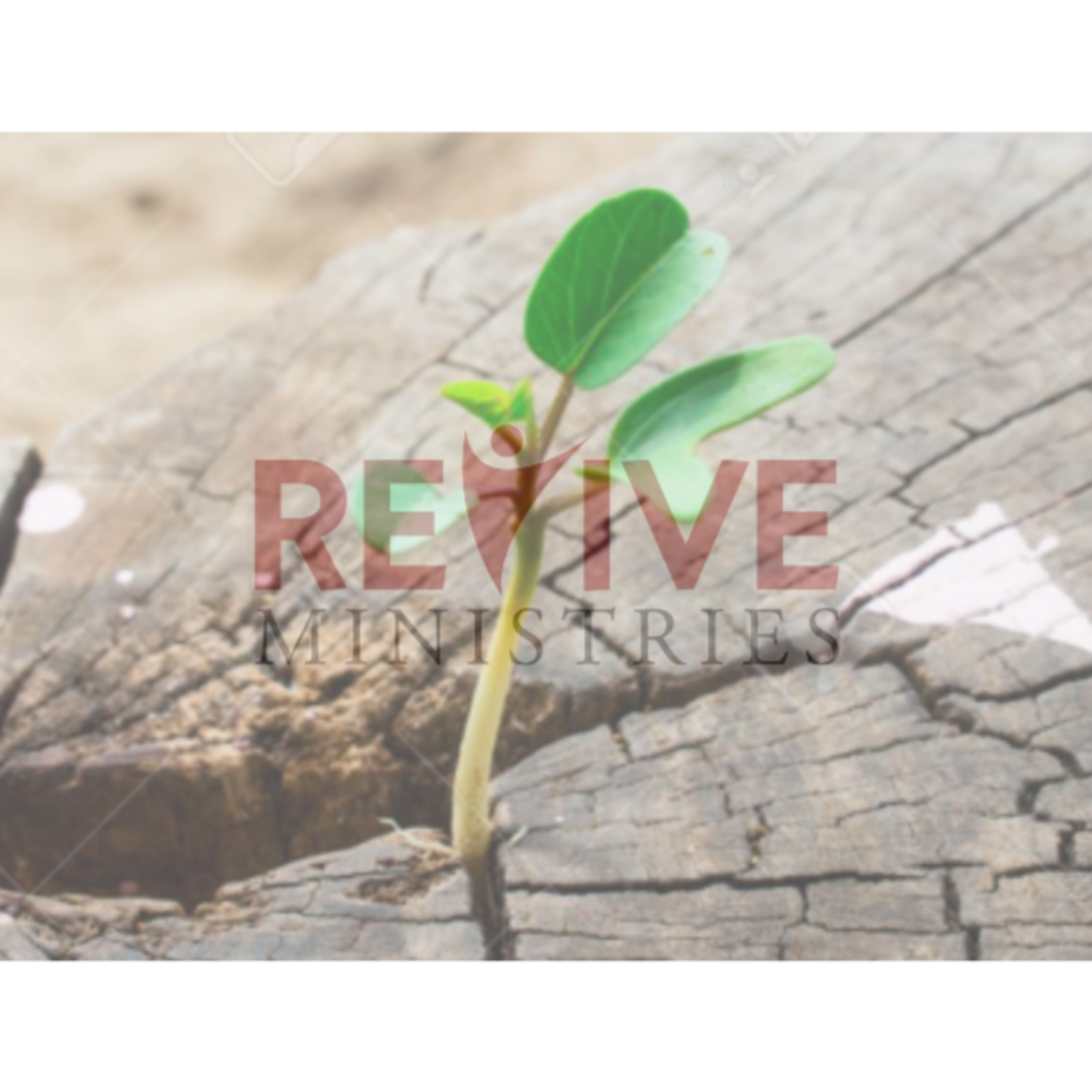 Revive Ministries Podcast: “How Value Helps Us Heal In Our Recovery and Wellness” Part 1 with Robert Gallant episode artwork