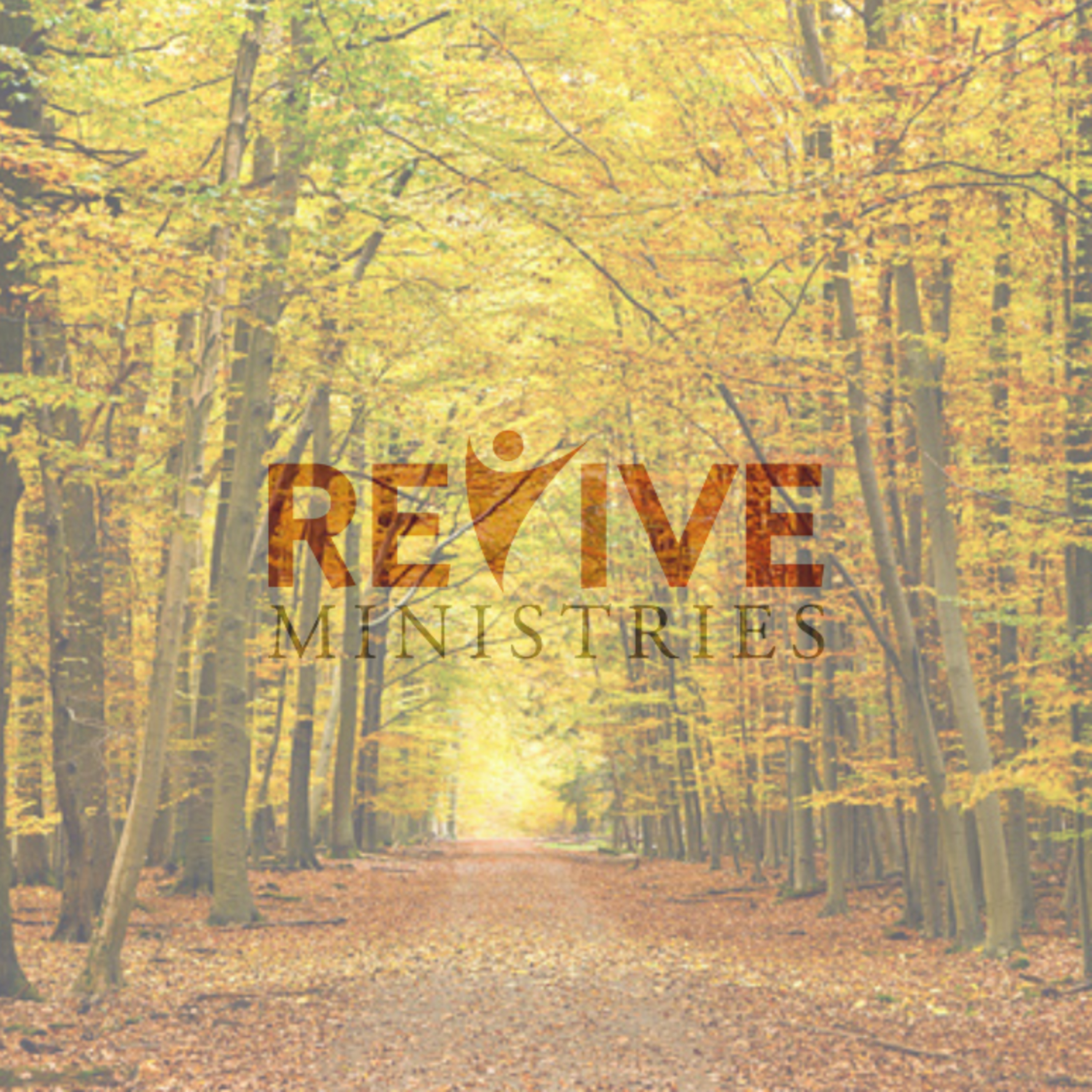 Revive Ministries Livestream: "Its ok to Fall" with Mike Jones episode artwork