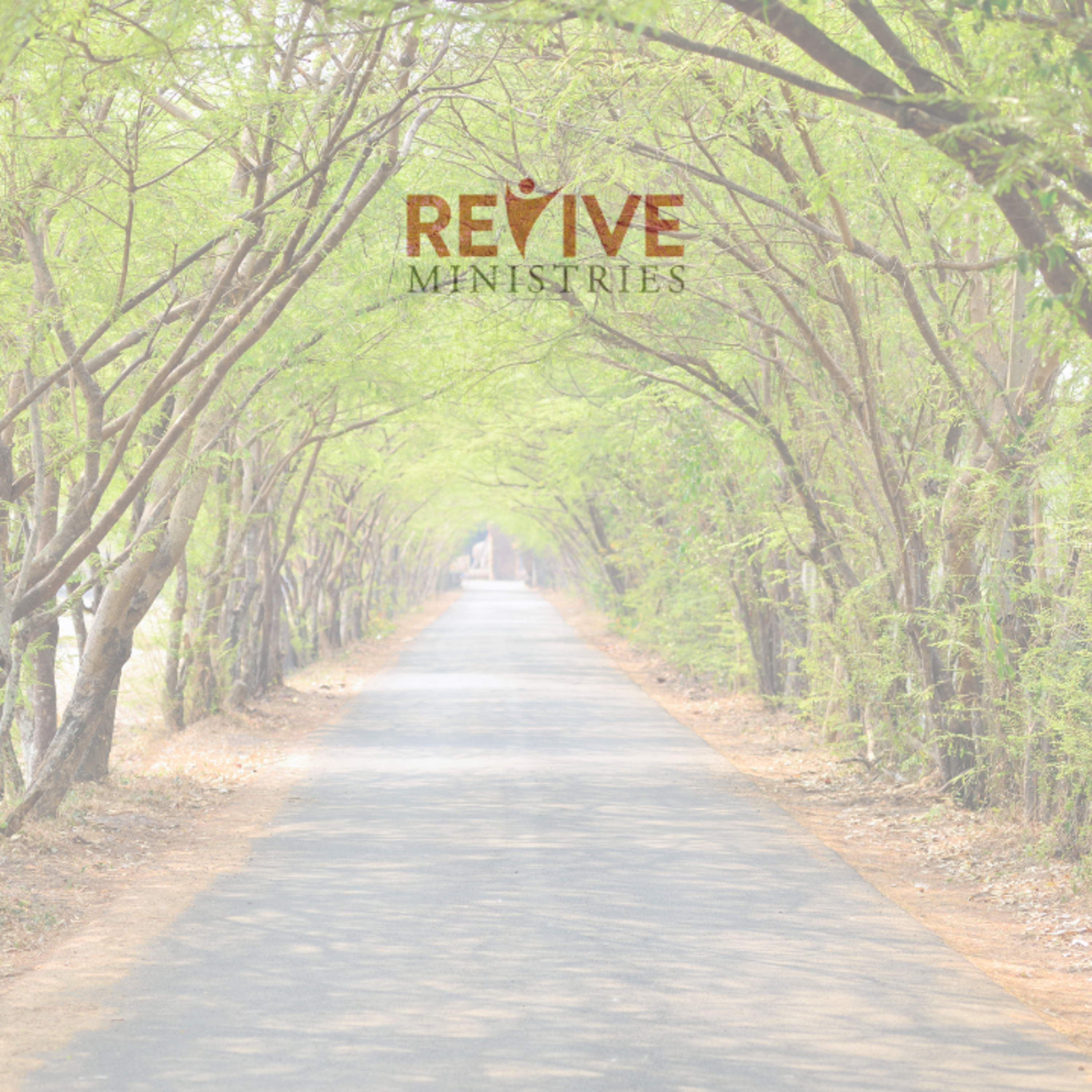 Revive Ministries