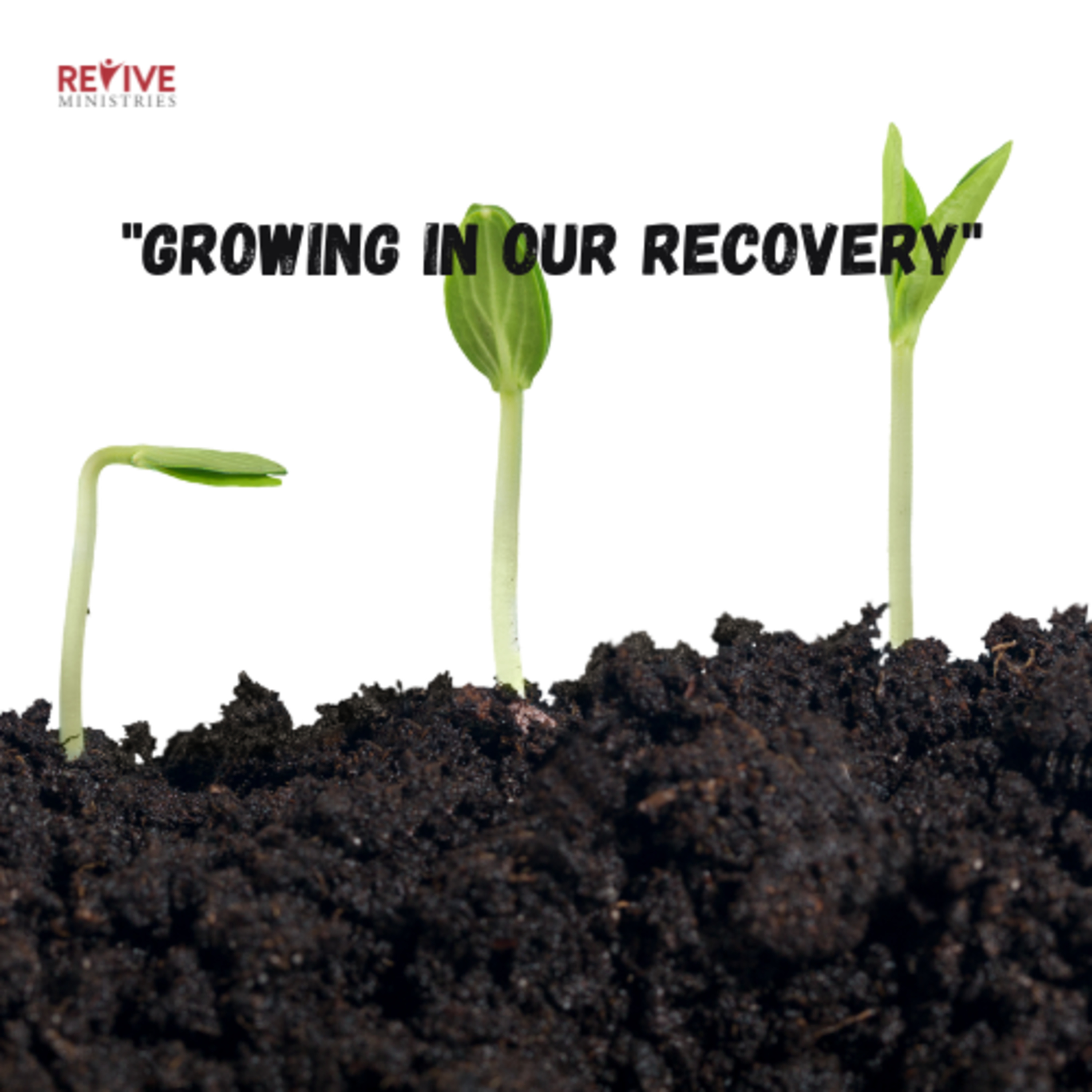 Revive Ministries "Growing in Recovery" with Mary Held episode artwork