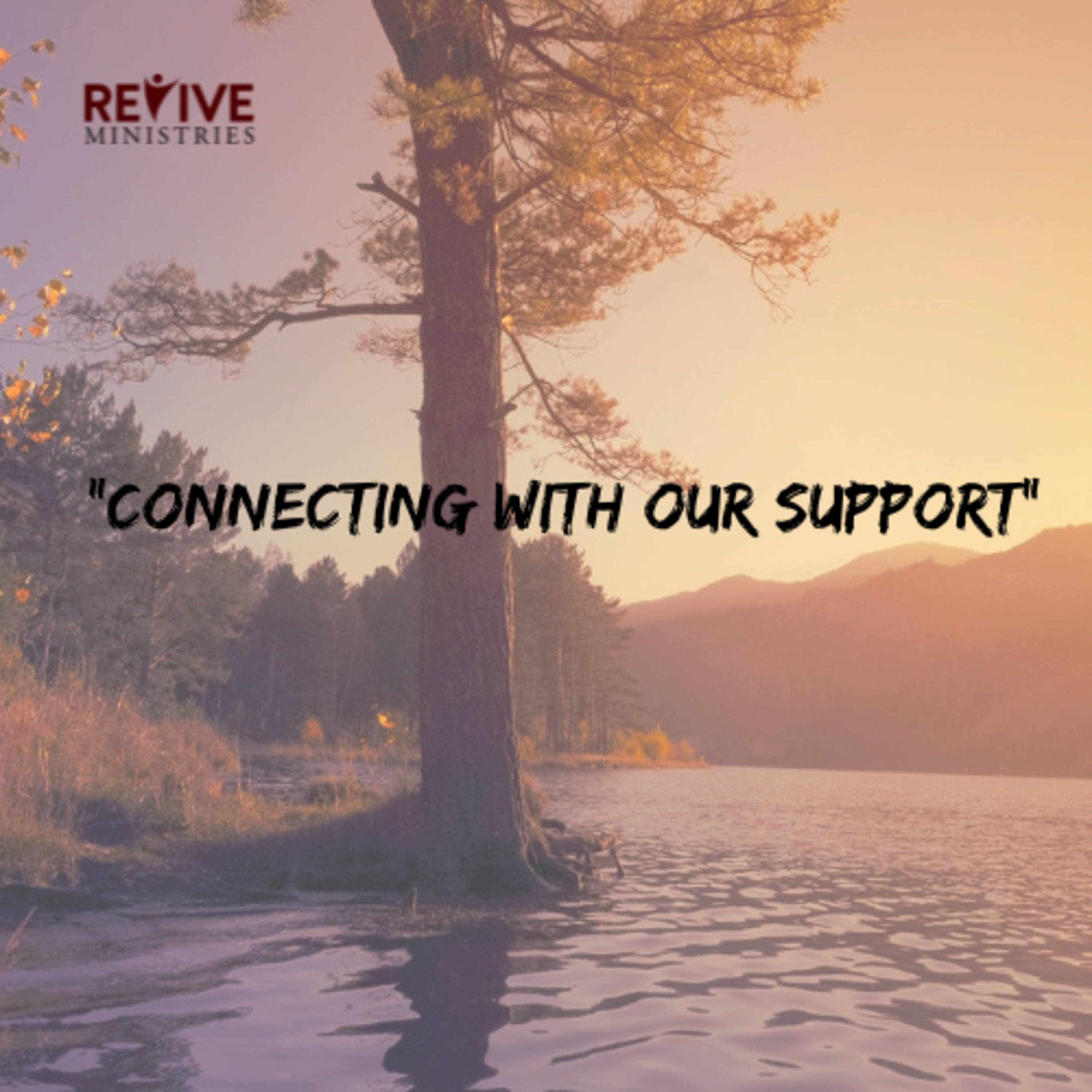 Revive Ministries Podcast "Connecting with Our Support" with Donna Chacko episode artwork