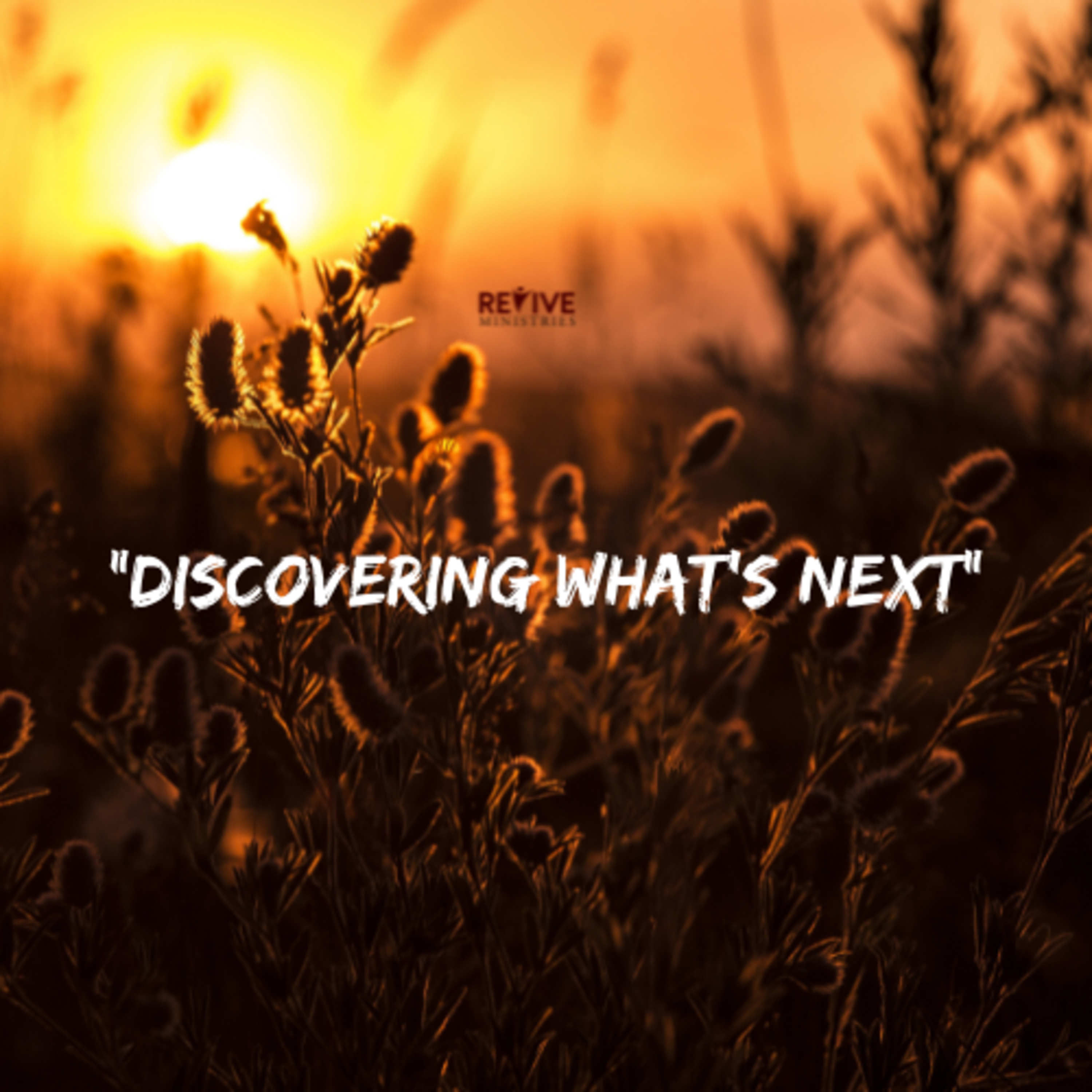 Revive Ministries Podcast “Discovering What’s Next” with Robert  episode artwork