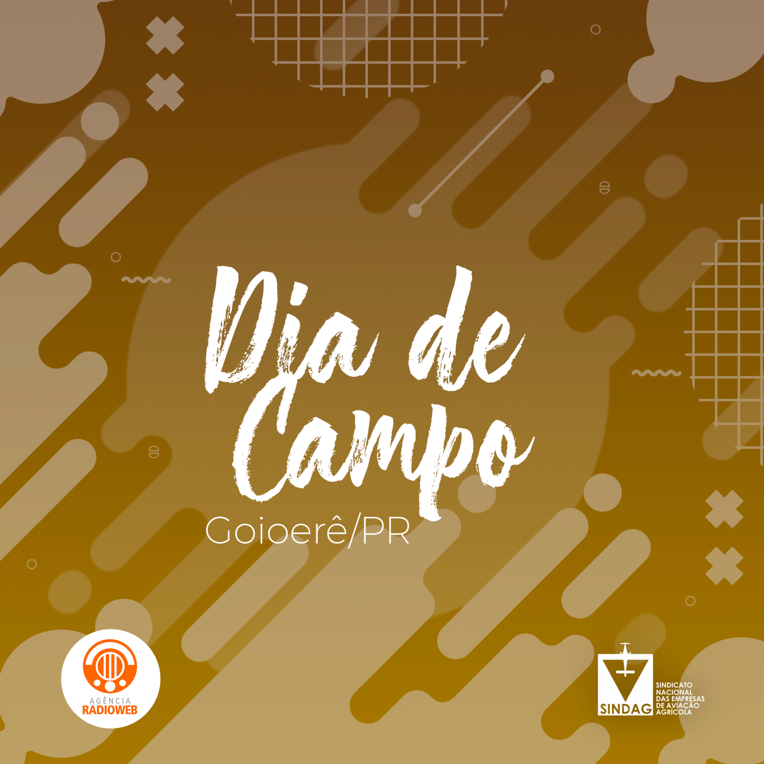 Pulverização aérea pode ser aliada para sustentabilidade rural - Agência Radioweb episode artwork