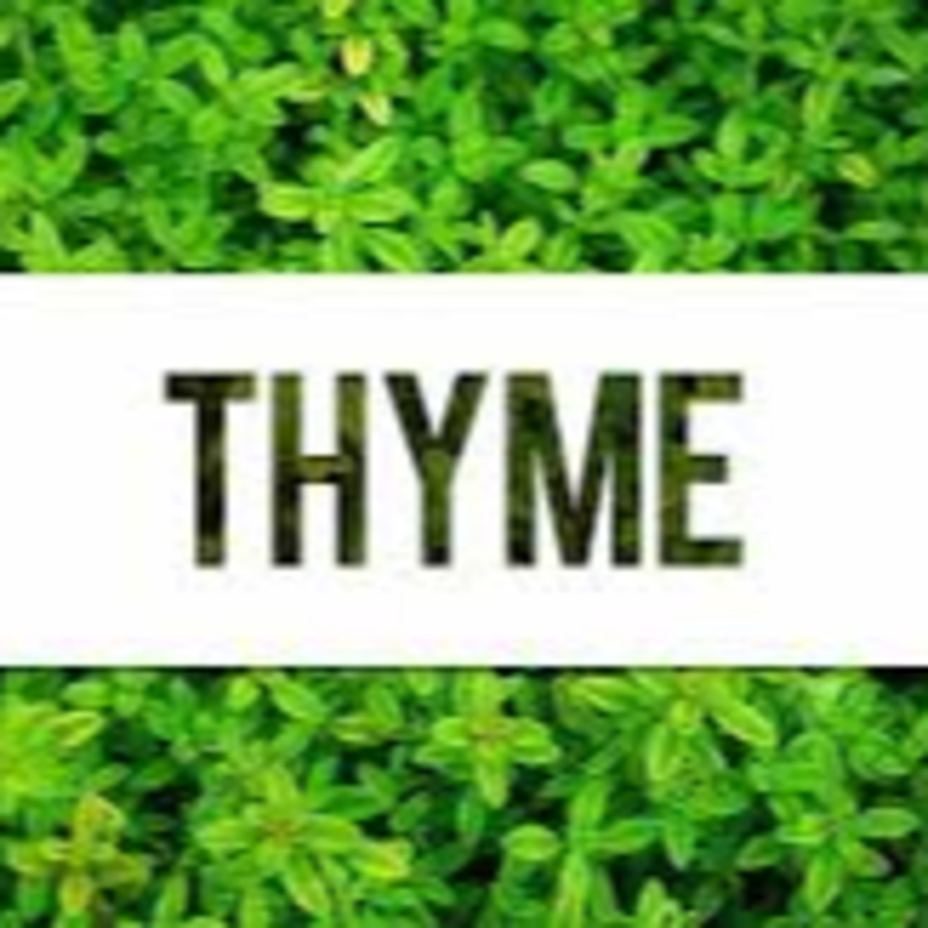 More Thyme...Please! episode artwork