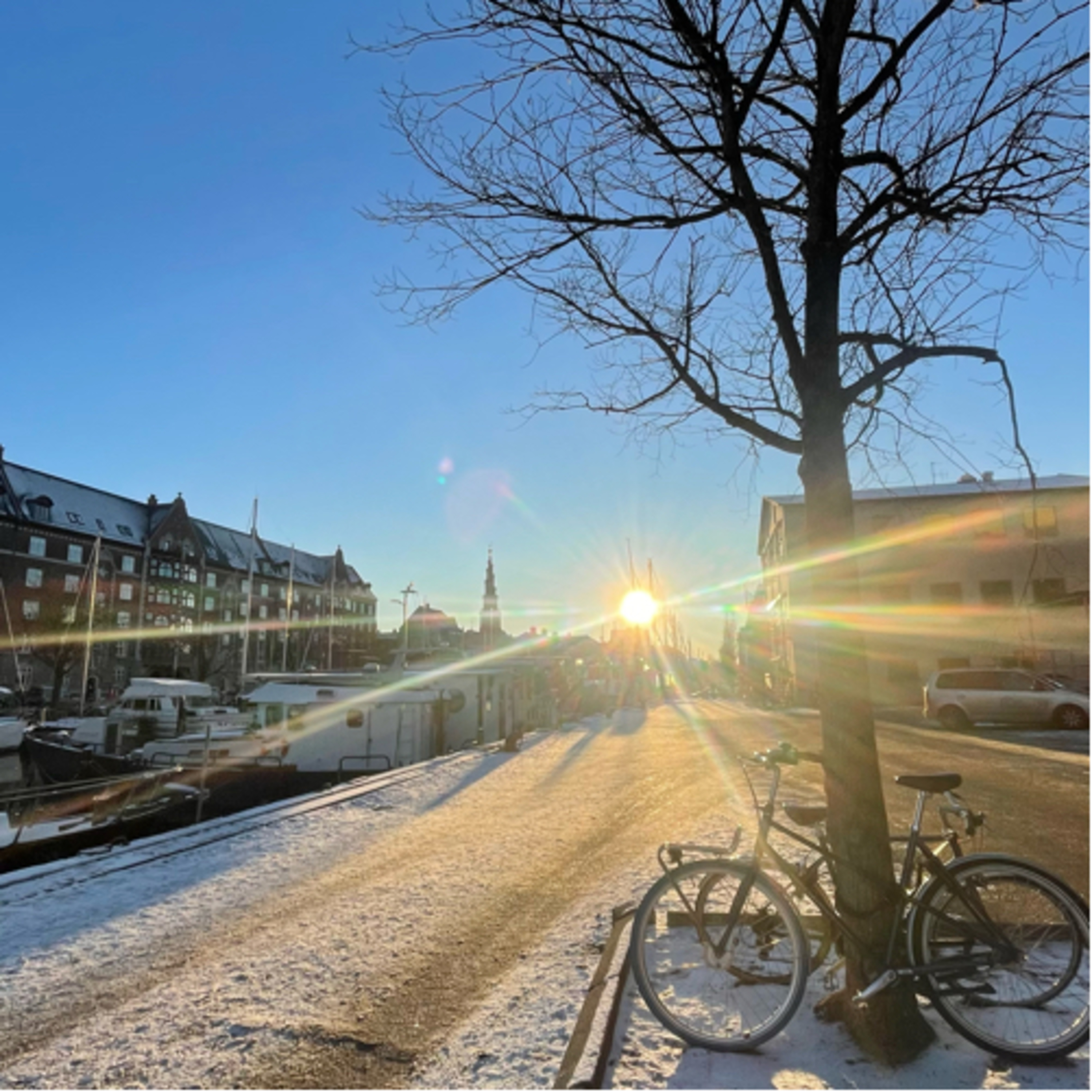 Modul 3+ og modul 4: vinter-gåtur på Christianshavn i sneen og solen ☃️🕊️❄️👀
