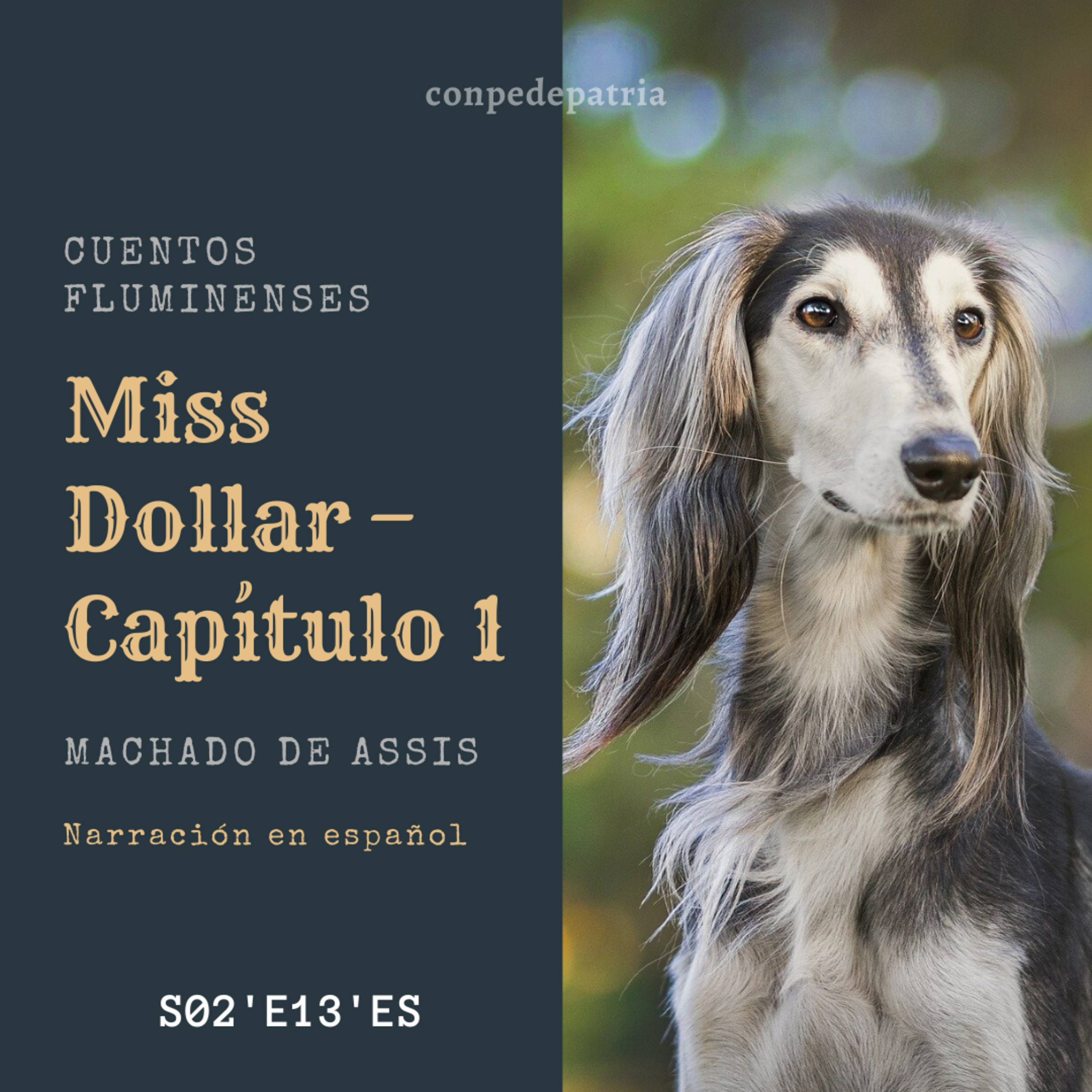 Conpedepatria │ Perú